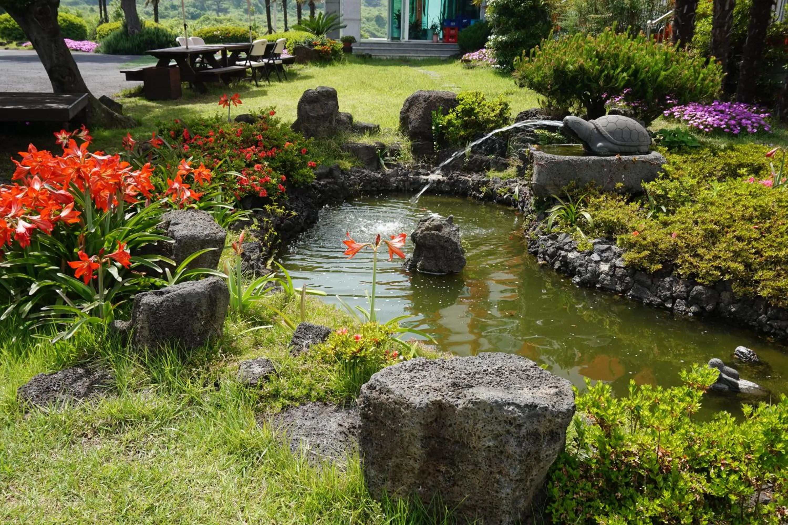 Garden in Jeju Feel House