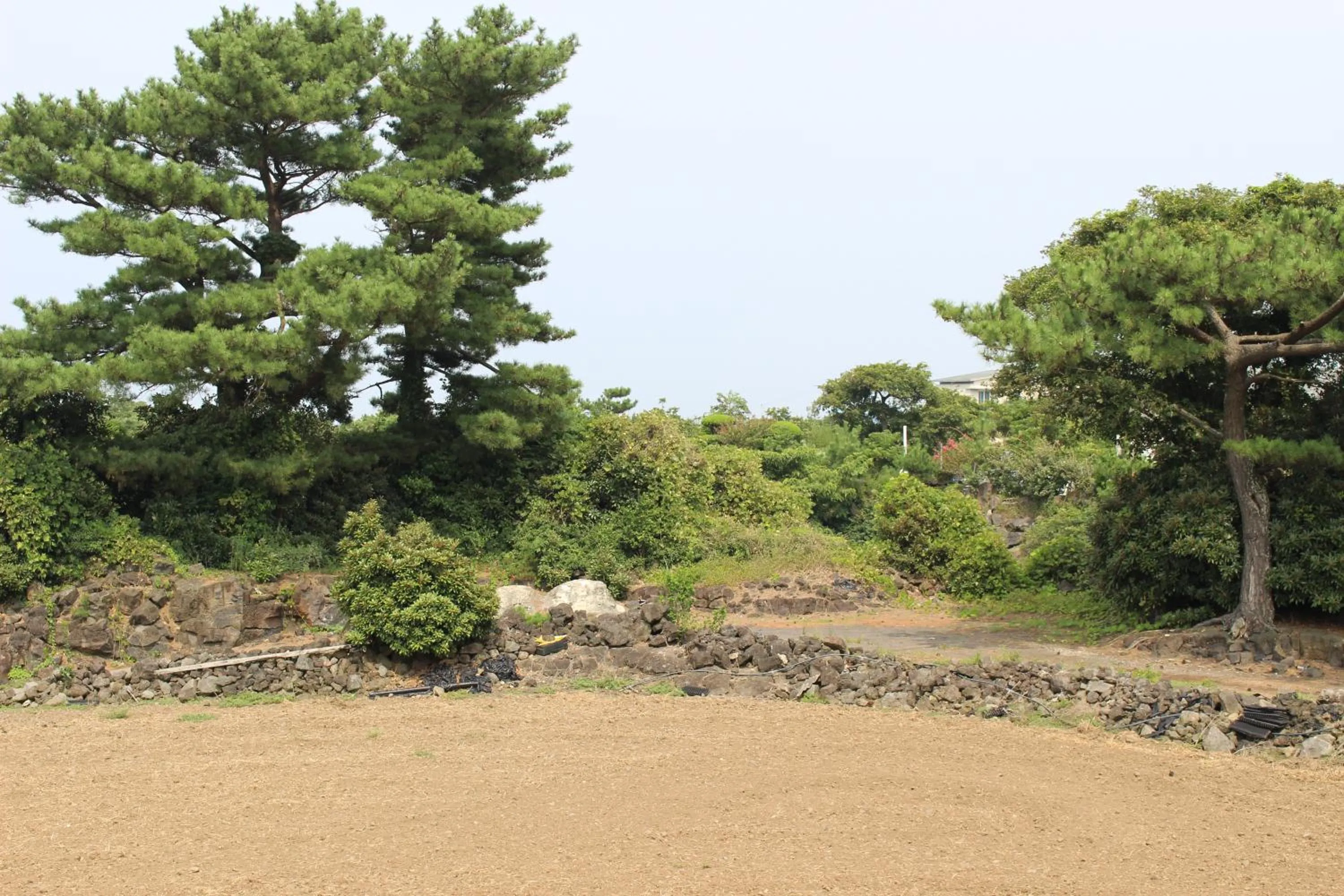 Other in Jeju Feel House