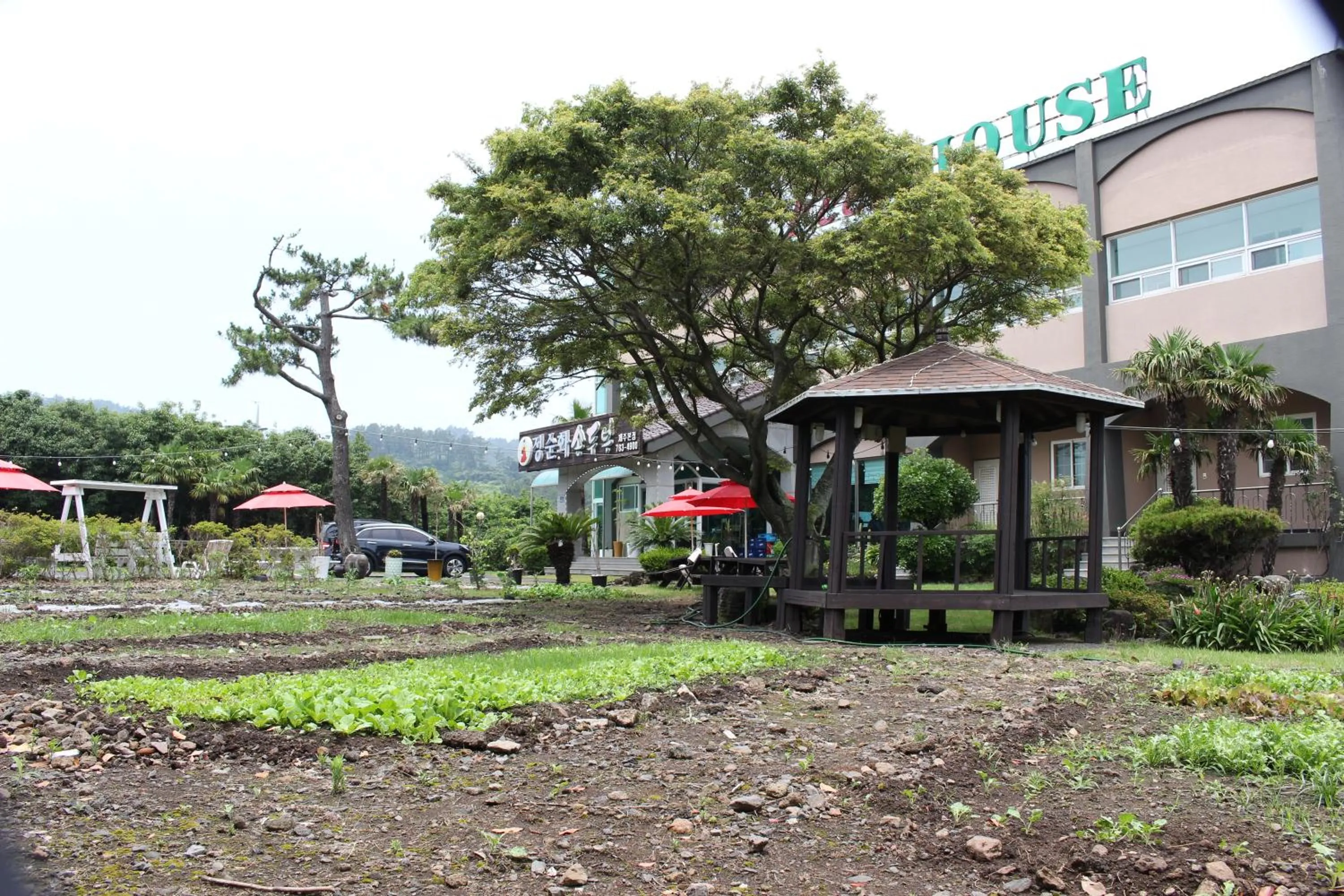 Inner courtyard view in Jeju Feel House