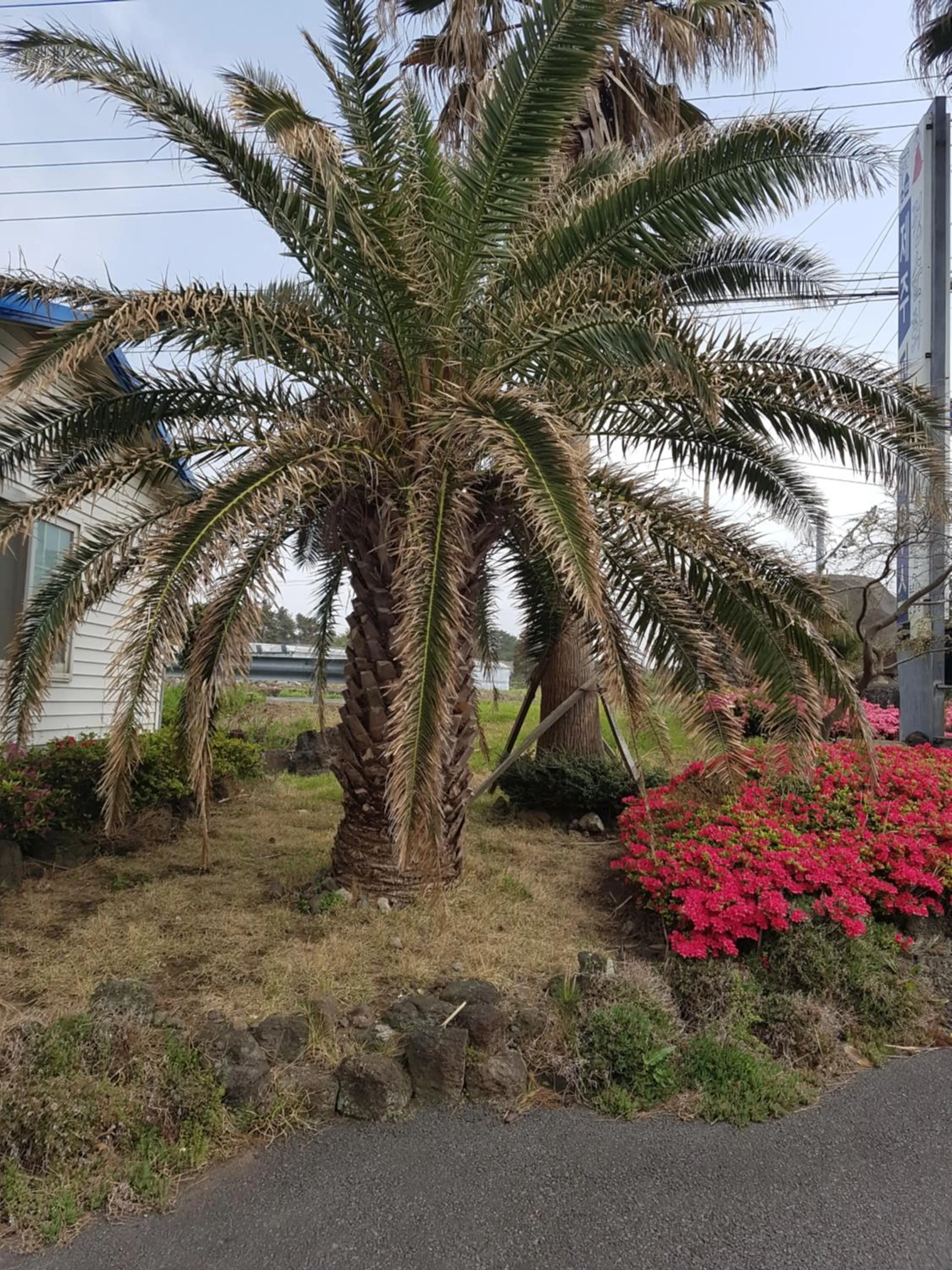 Facade/entrance in Jeju Feel House
