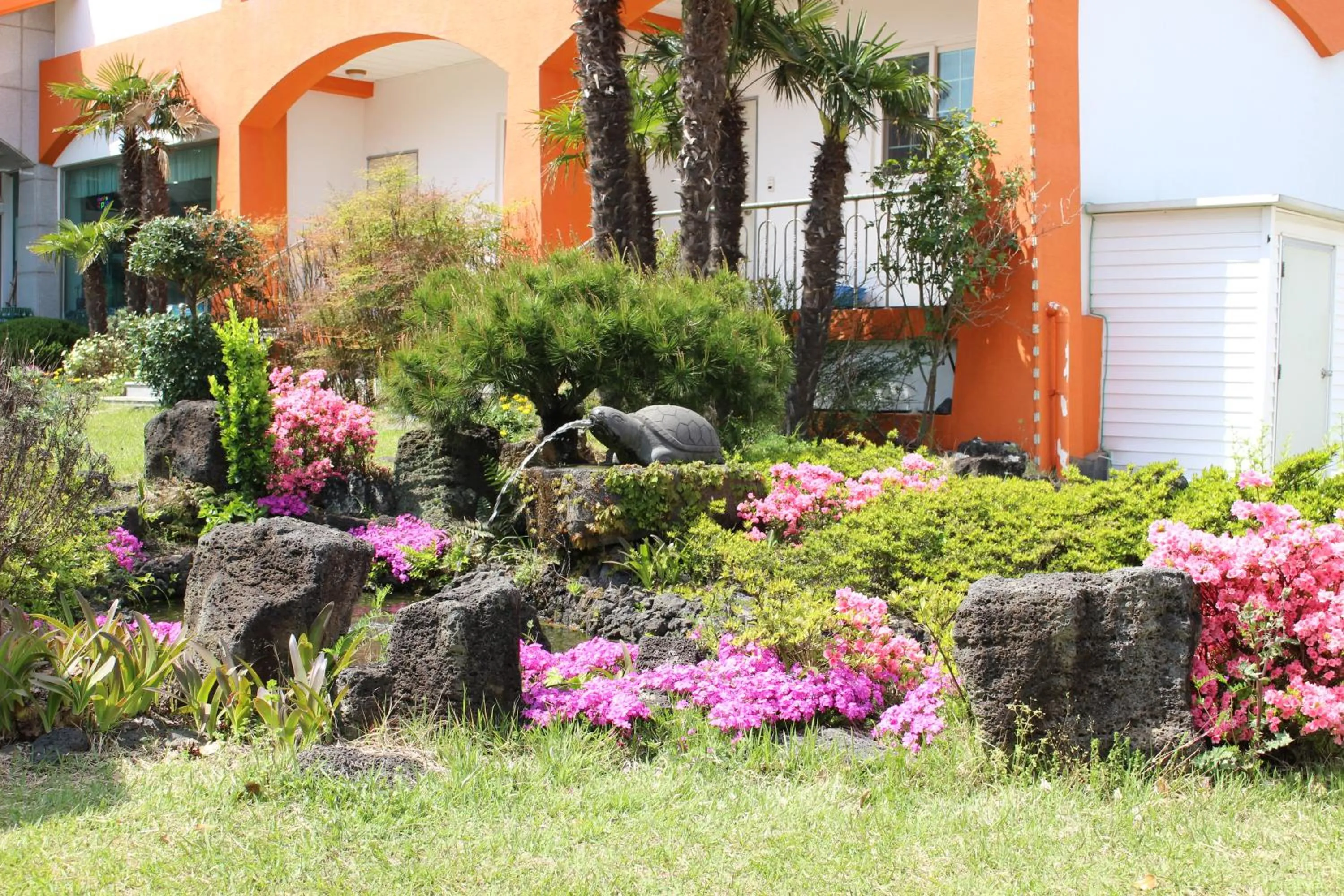 Garden view in Jeju Feel House