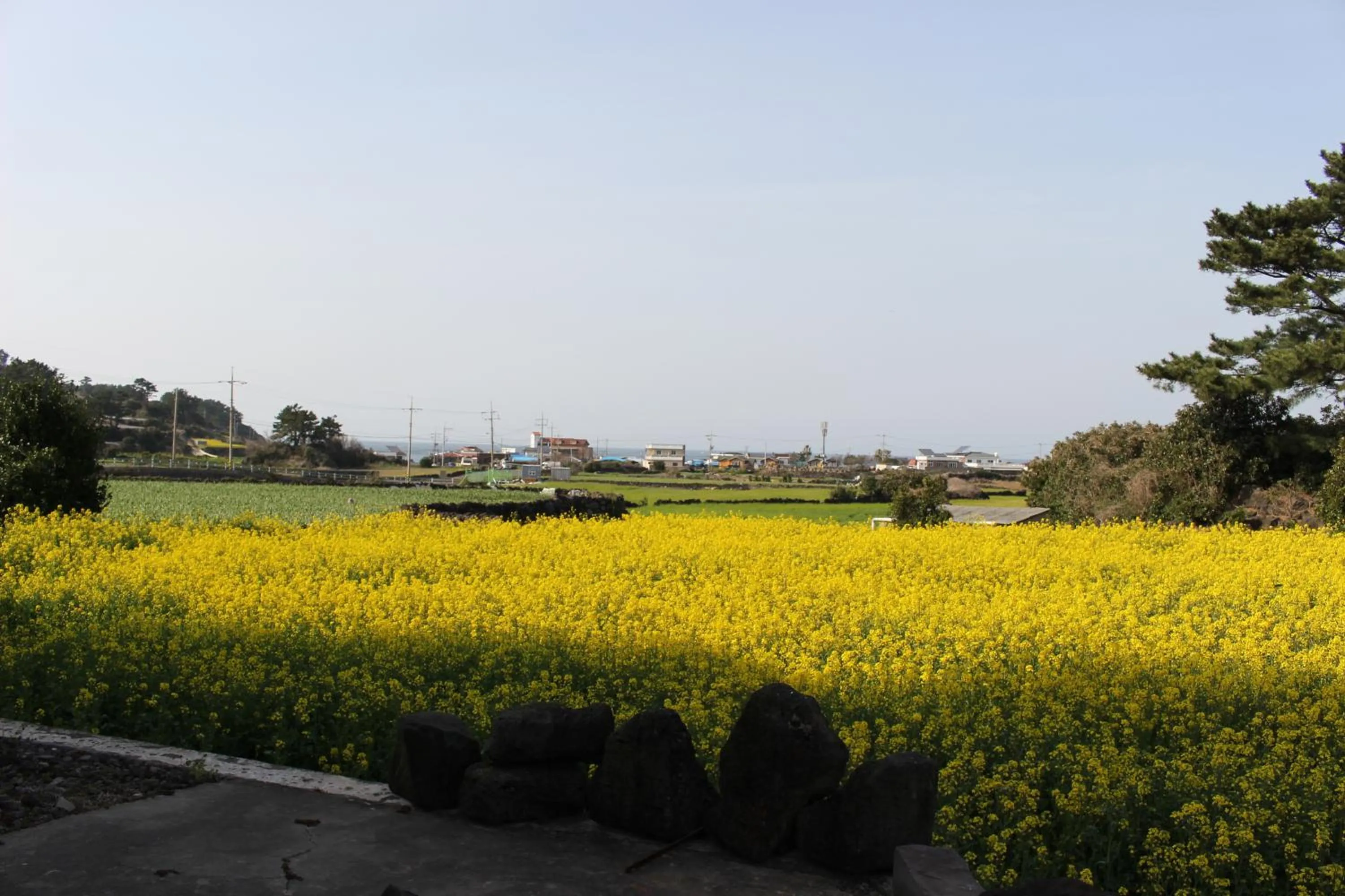 Mountain view in Jeju Feel House