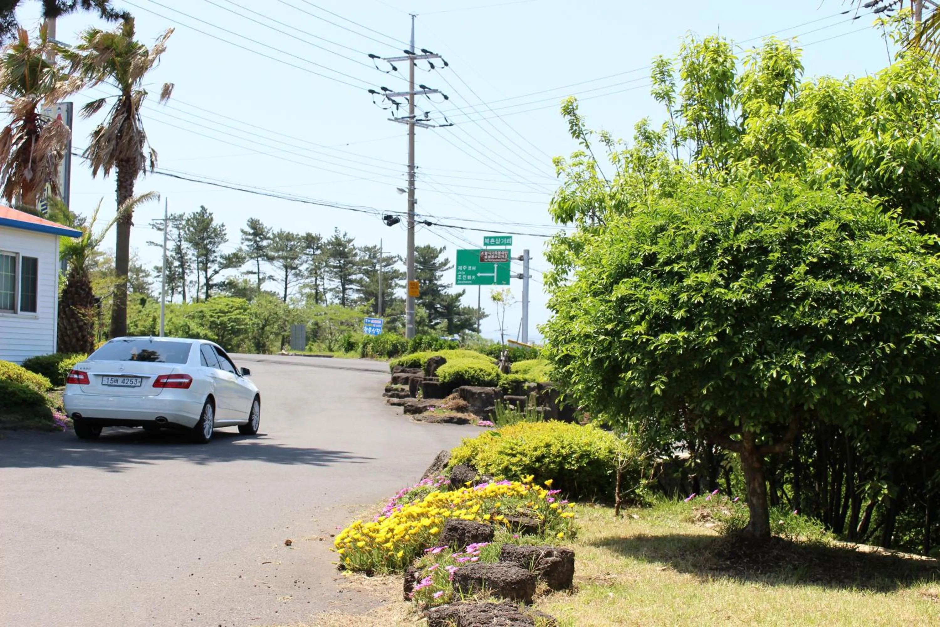 Other in Jeju Feel House