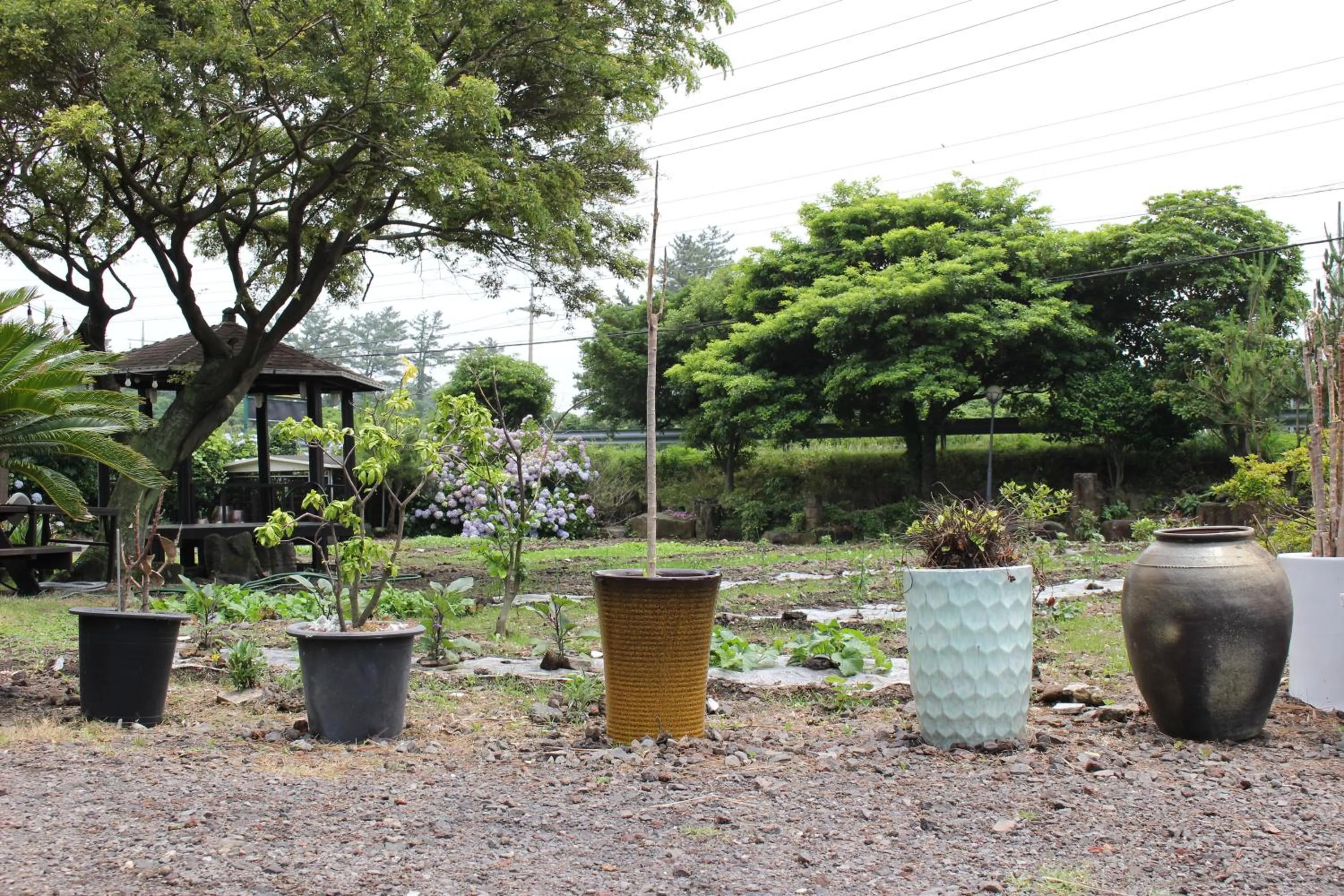 Inner courtyard view in Jeju Feel House