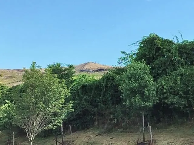 Holiday Inn Express - White Marsh by IHG