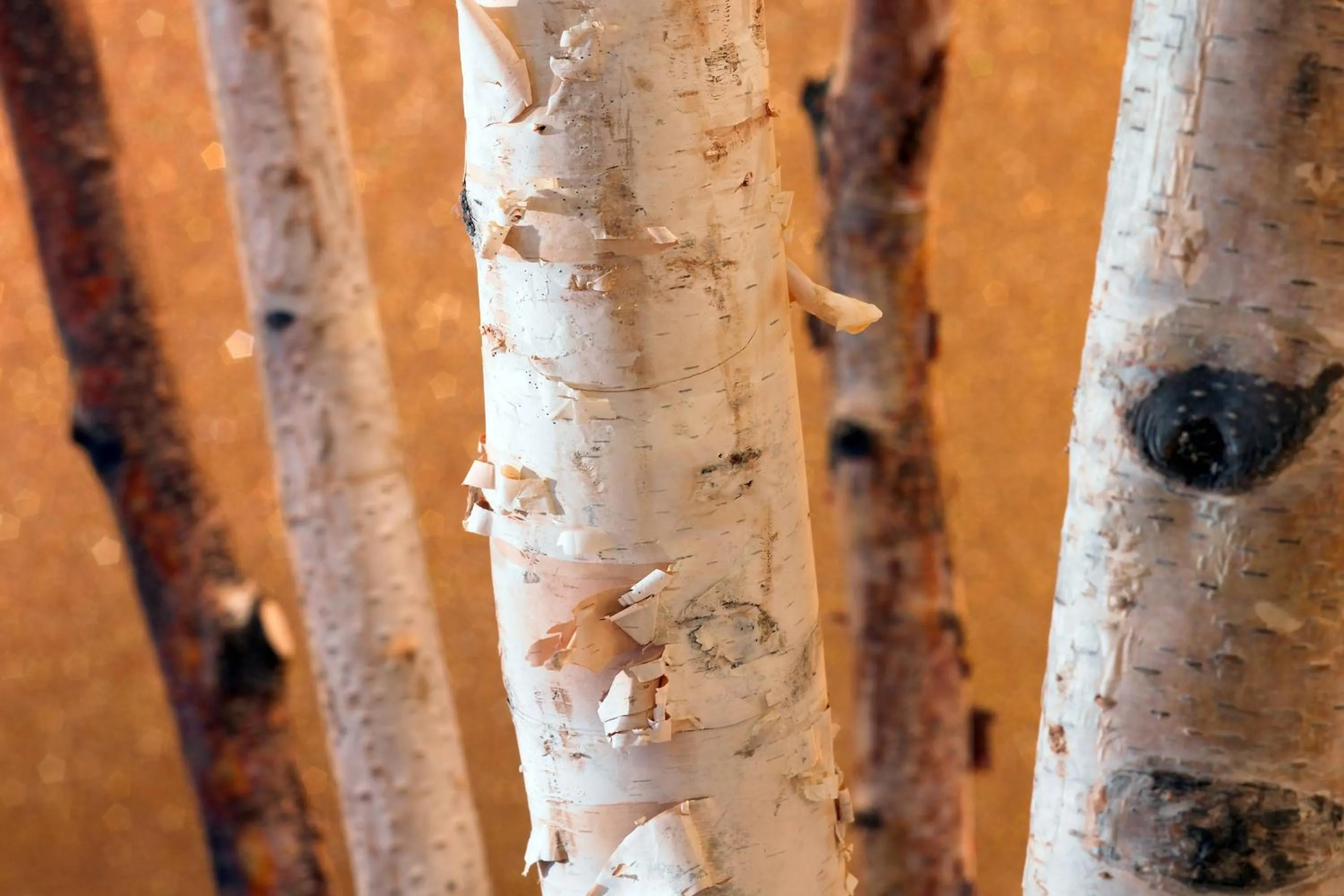Lobby or reception in The Westin Chicago North Shore