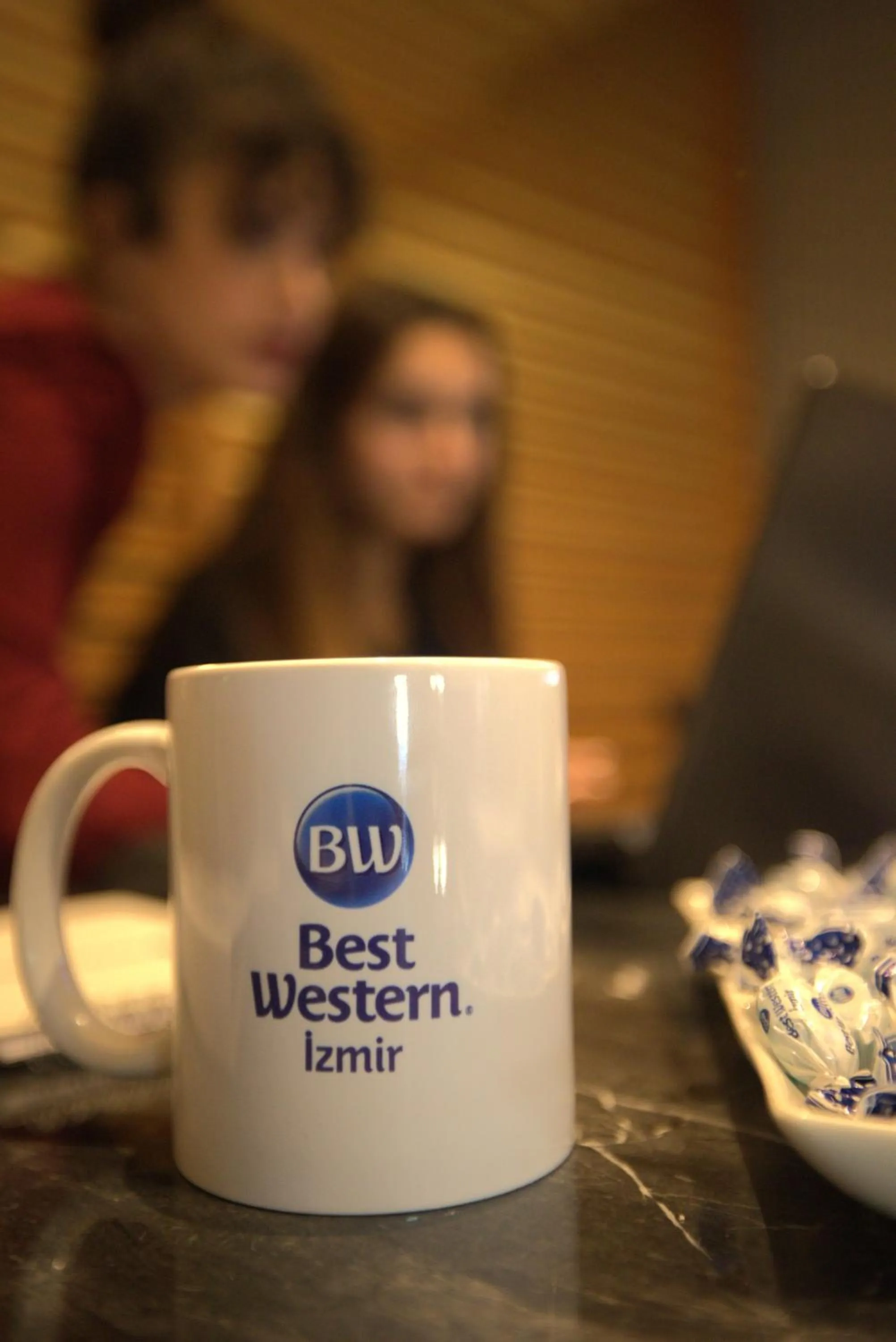 Meeting/conference room in Best Western Izmir Hotel