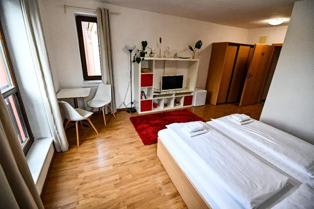 Double Room - single occupancy in Aparthotel Faust Double Room - single occupancy in Aparthotel Faust
