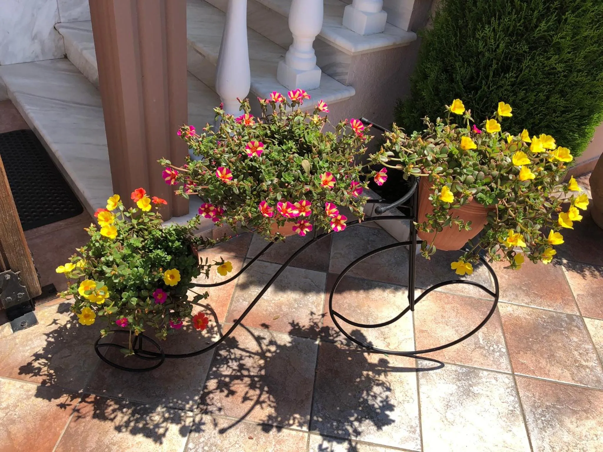 Patio in Villa Mary 1 & fresh!