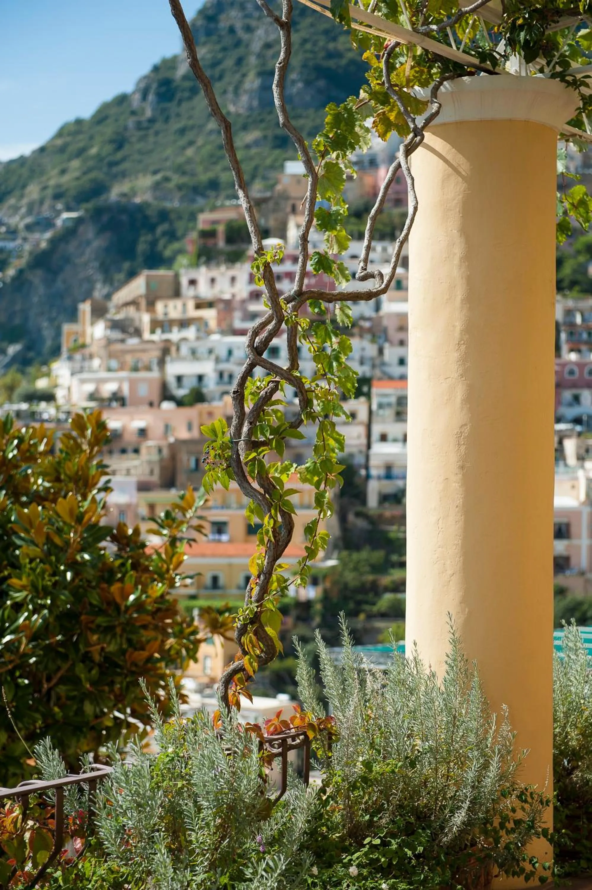 View (from property/room) in Albergo California