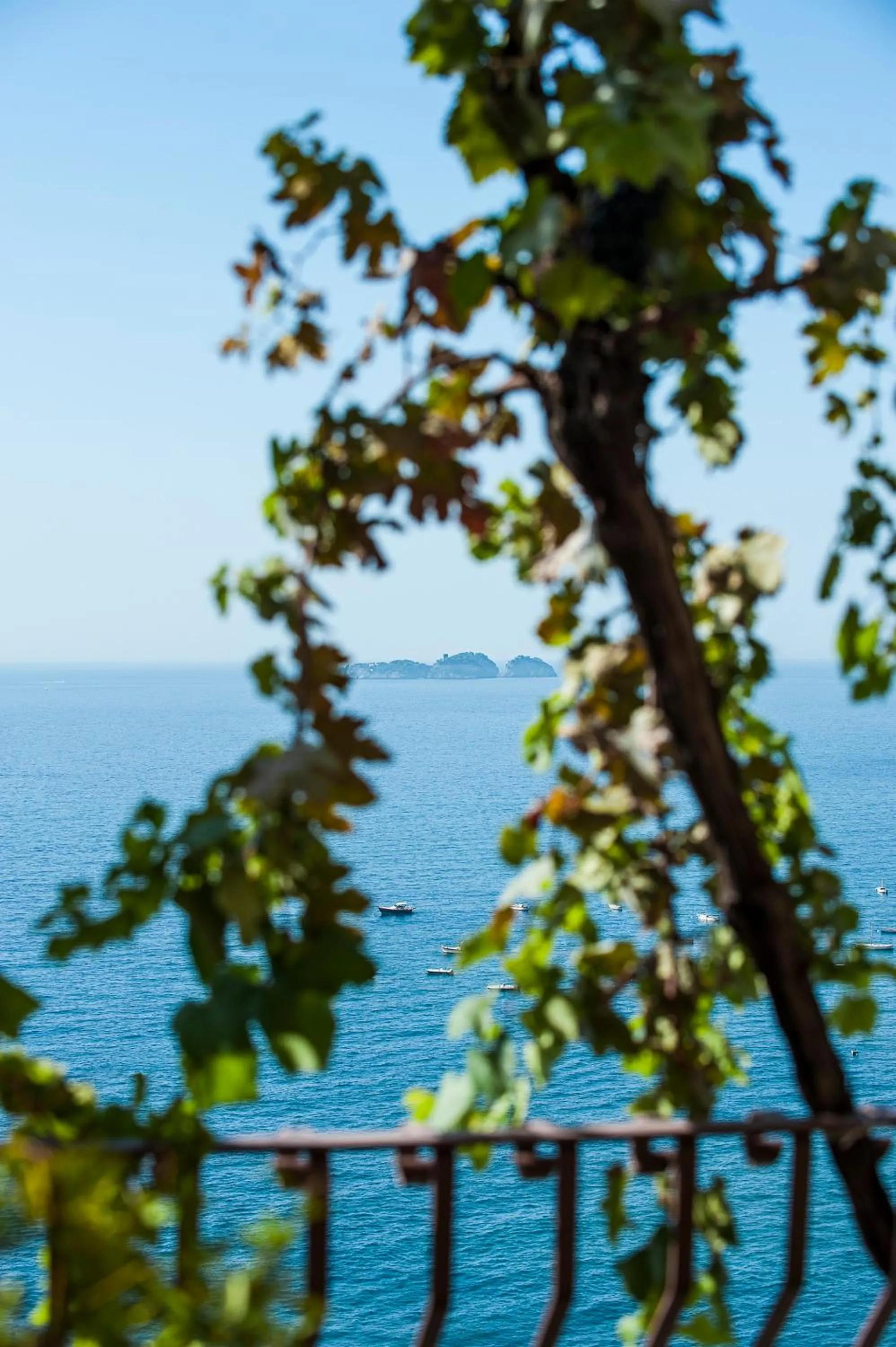 View (from property/room) in Albergo California