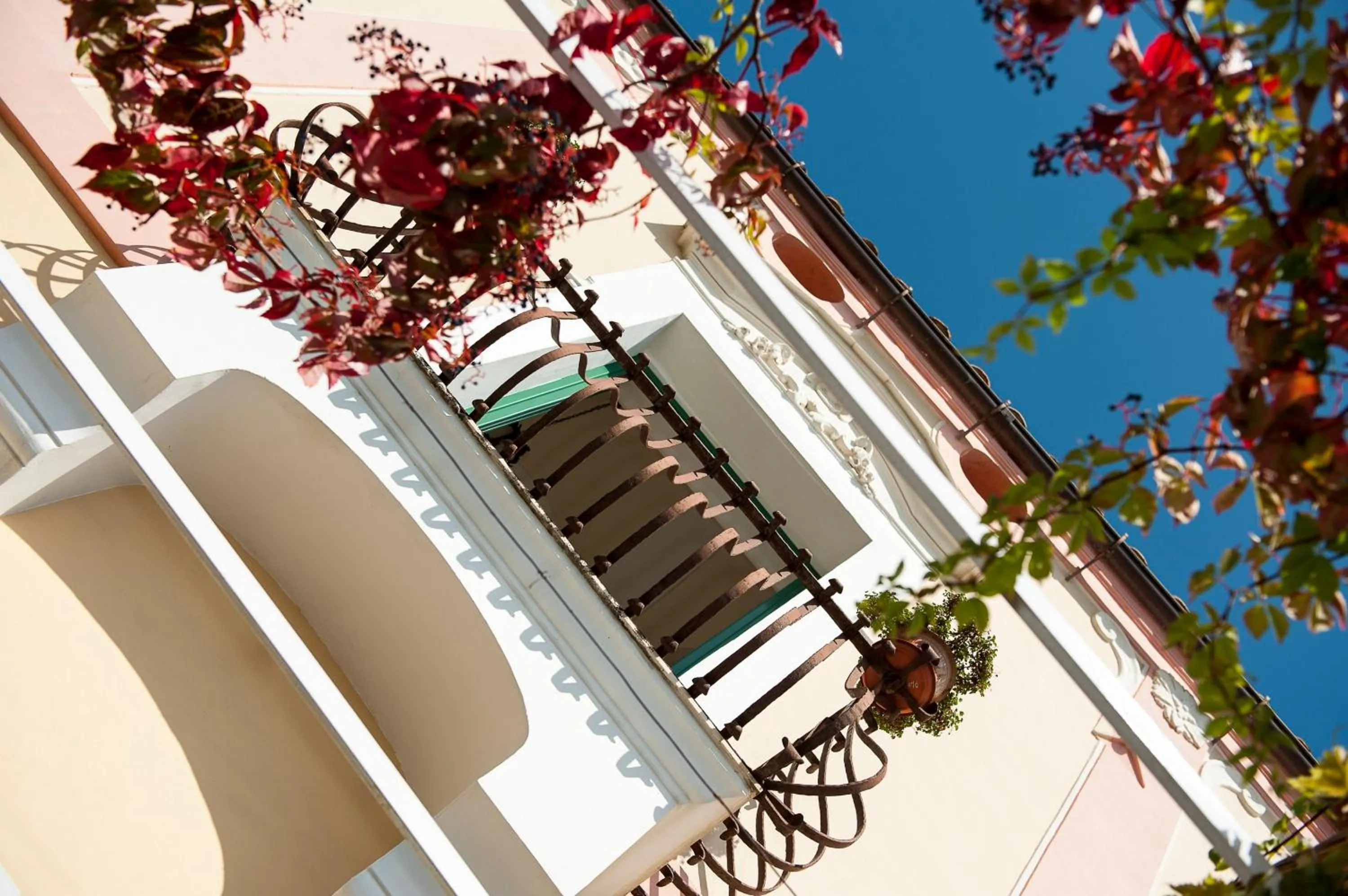 Balcony/Terrace in Albergo California