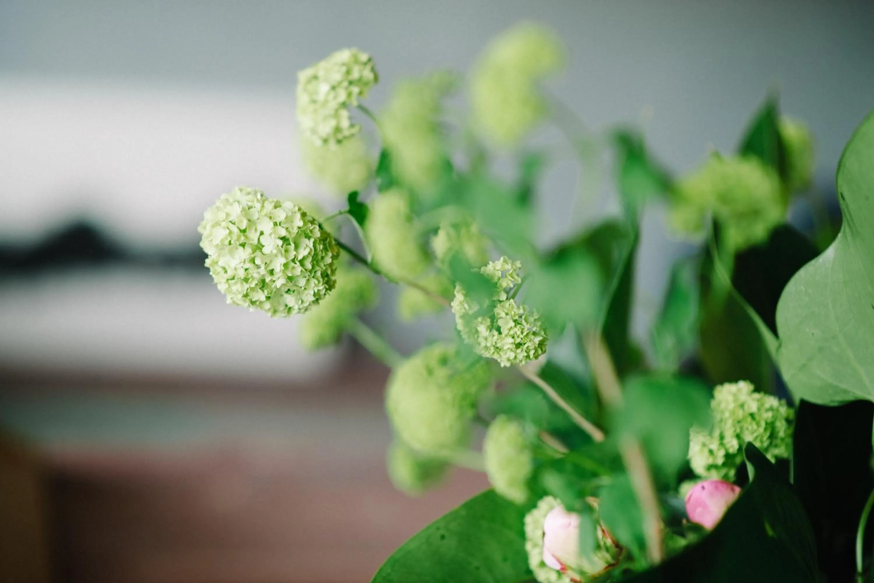 Decorative detail in Bijuu
