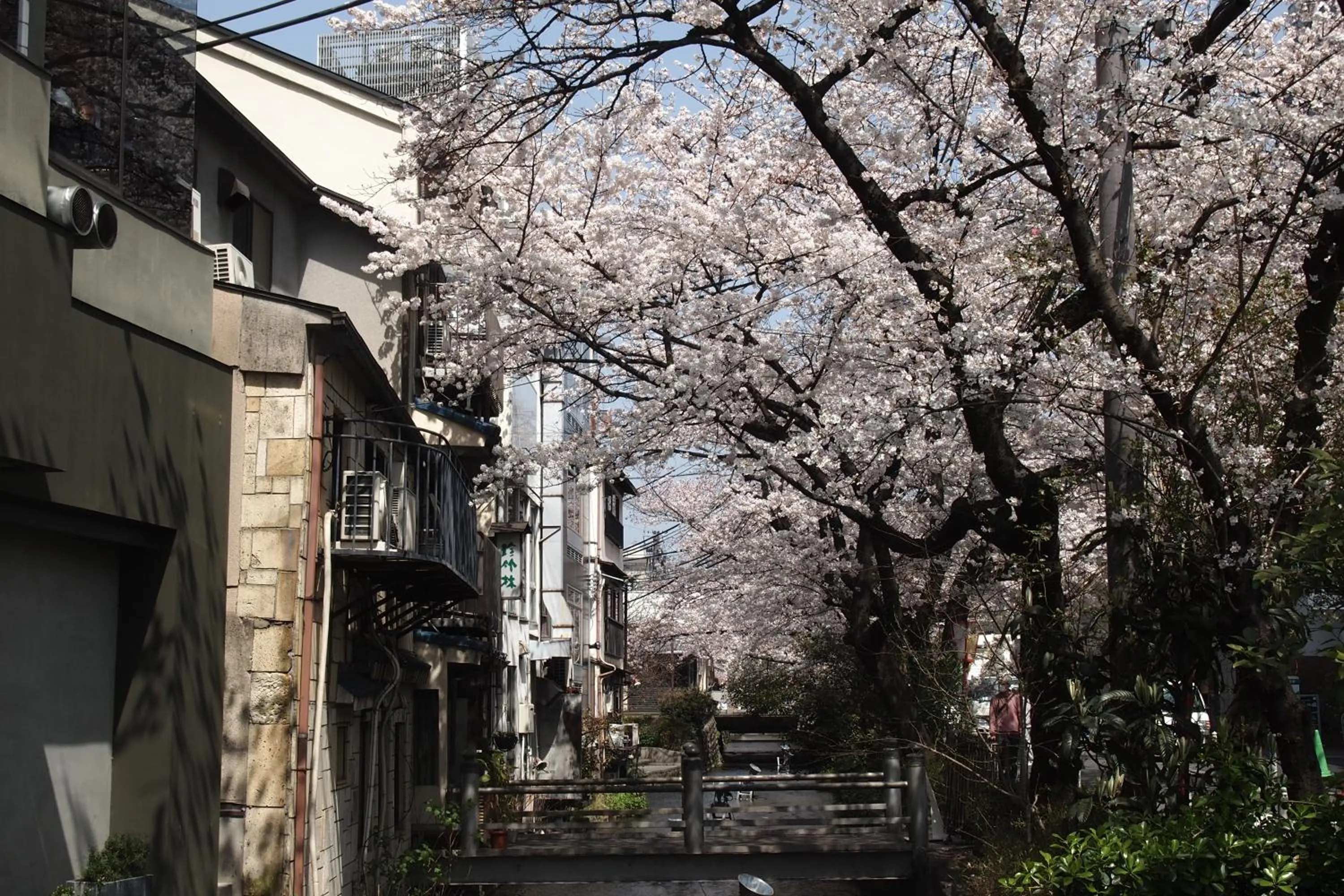 Natural landscape in Bijuu