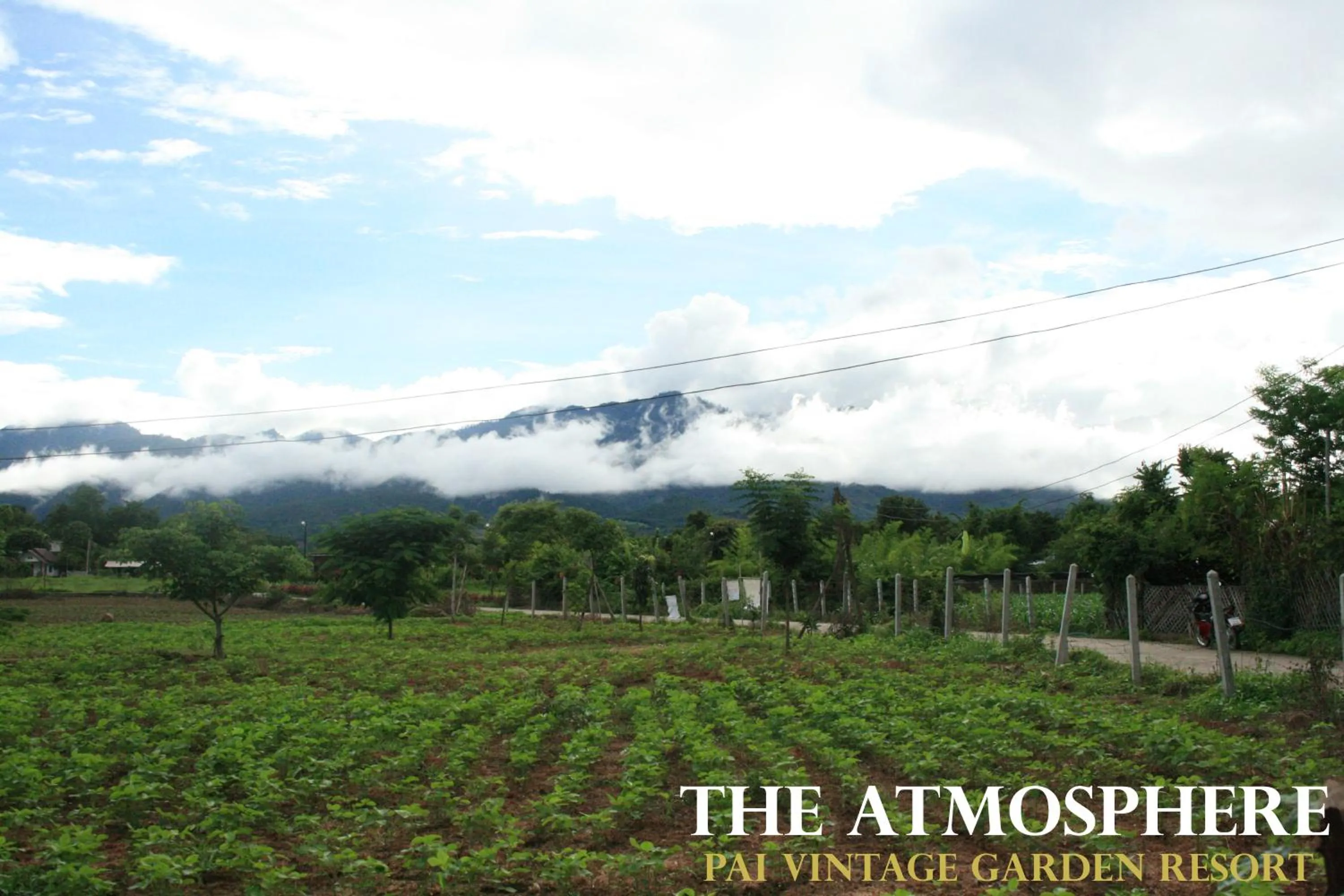 View (from property/room) in Pai Vintage Garden Resort