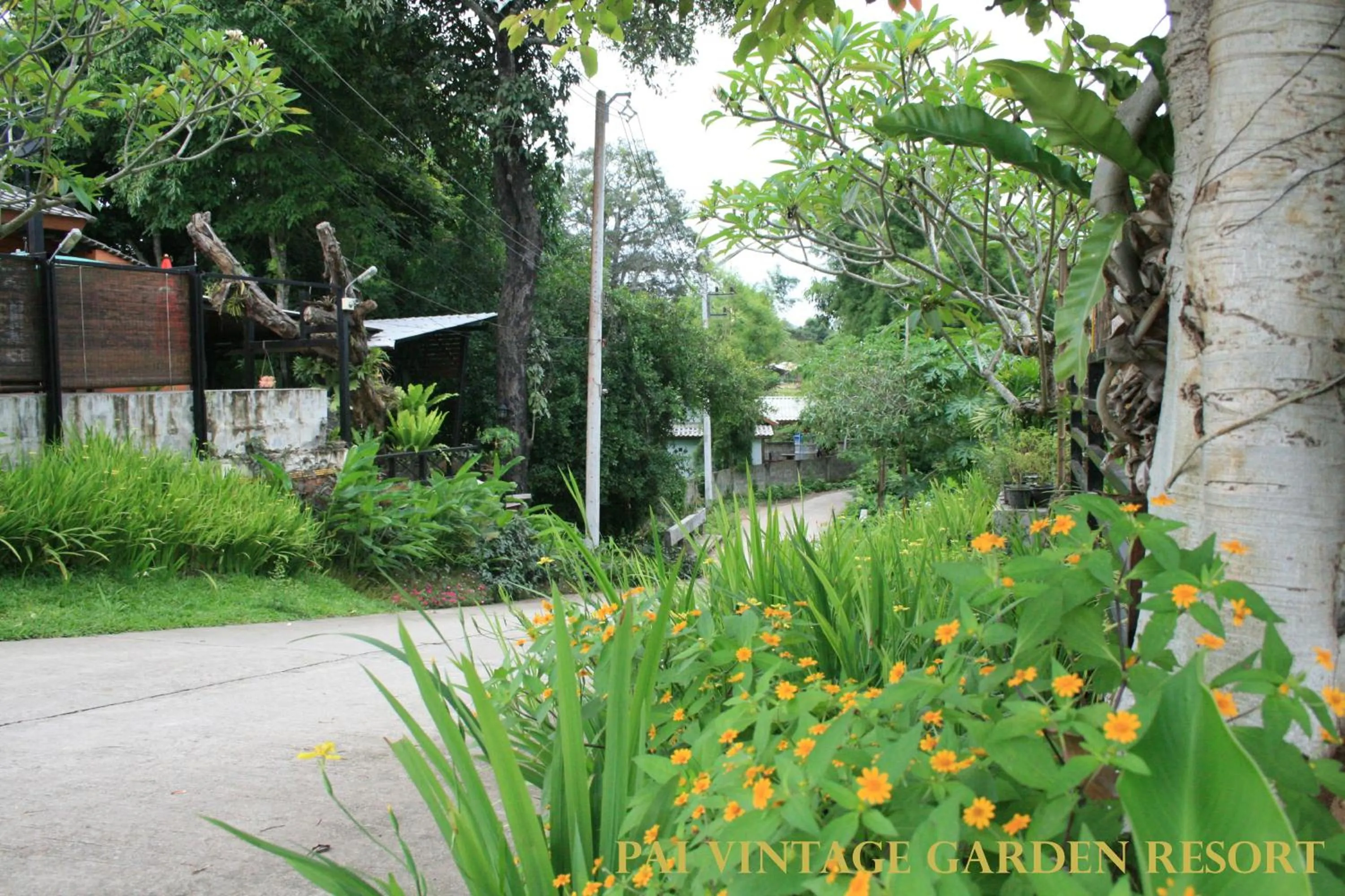 View (from property/room) in Pai Vintage Garden Resort