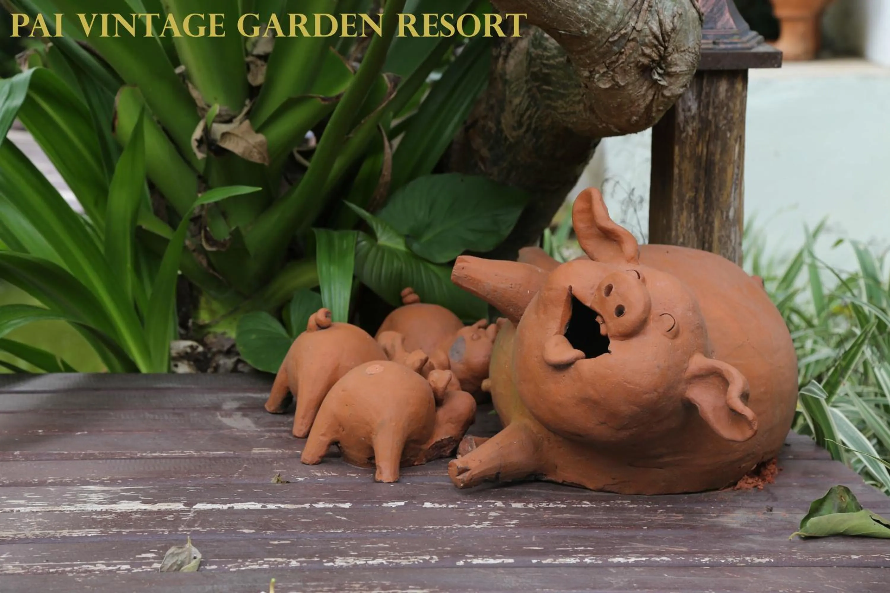 Facade/entrance in Pai Vintage Garden Resort