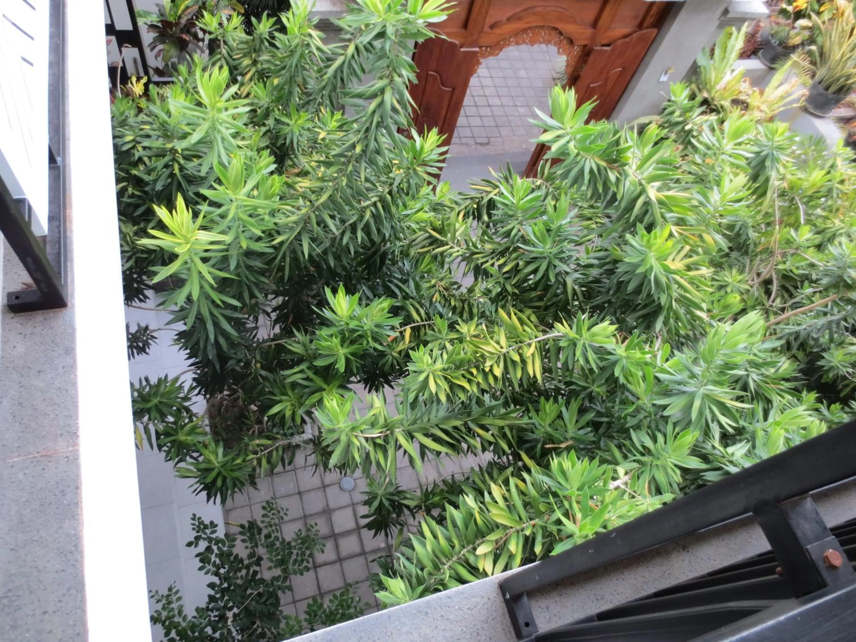 Facade/entrance in Putri Homestay