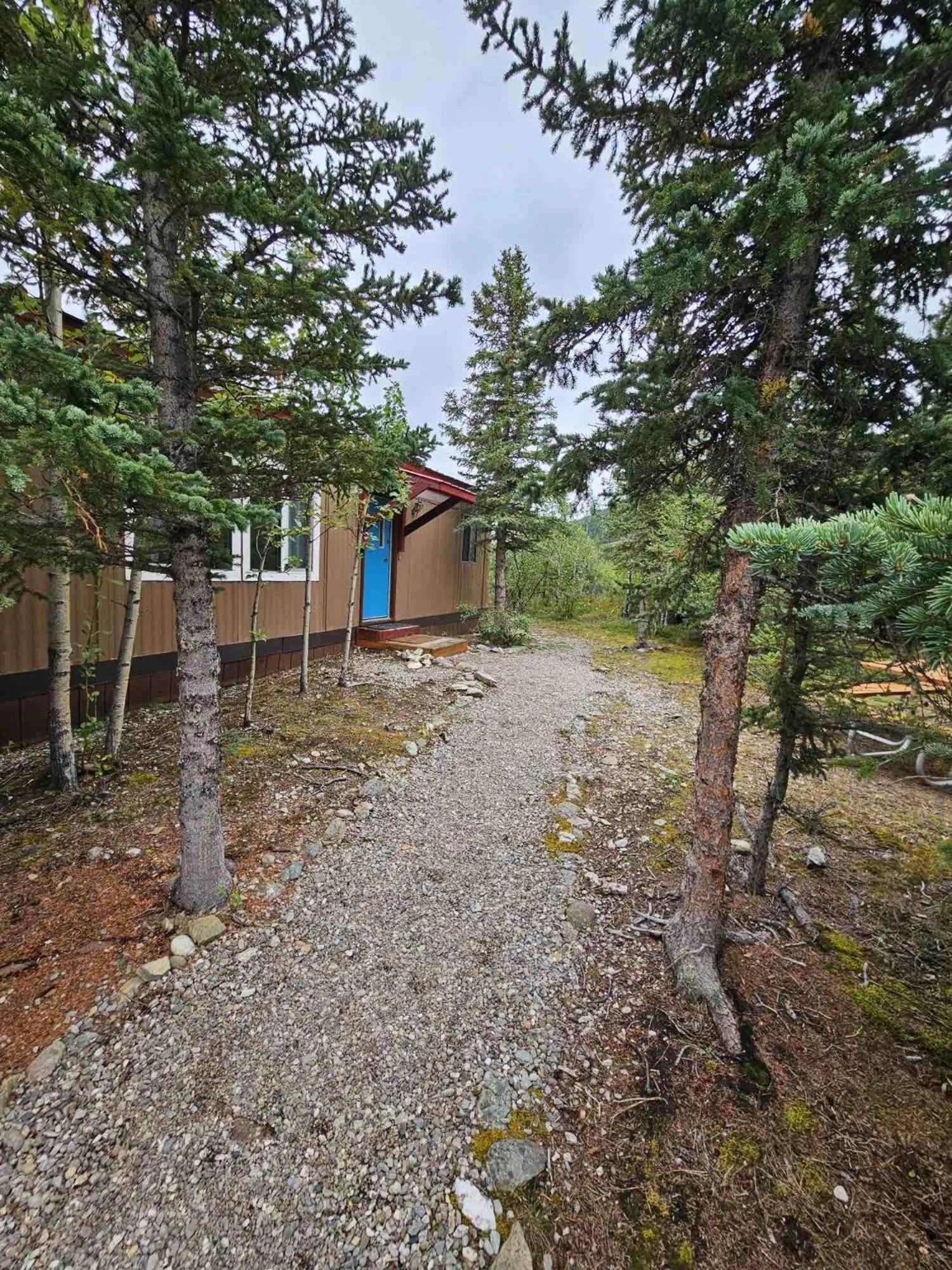 View (from property/room) in Denali RV Park & Motel