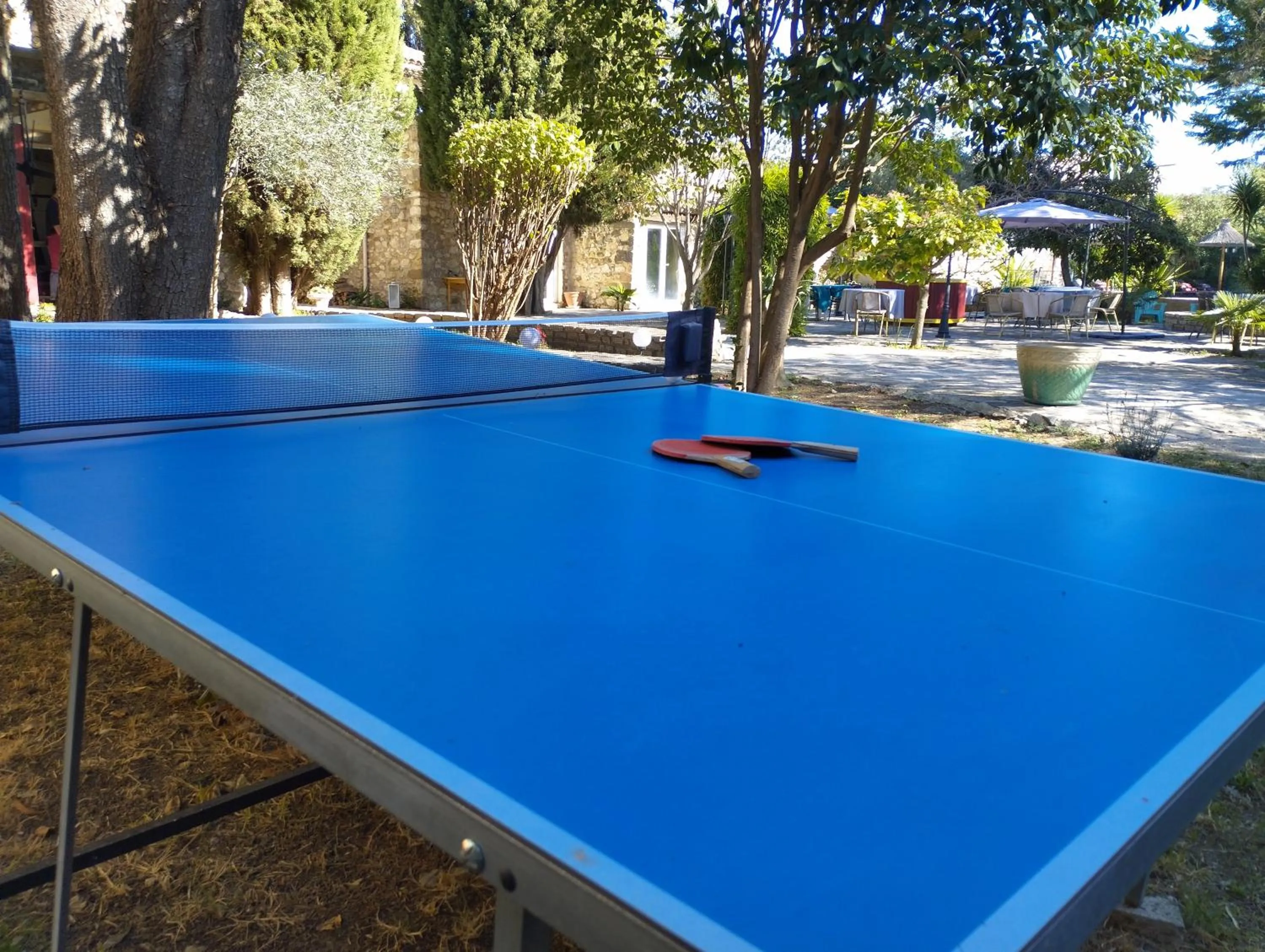 Table tennis in Logis Hotel Restaurant L'Esquielle