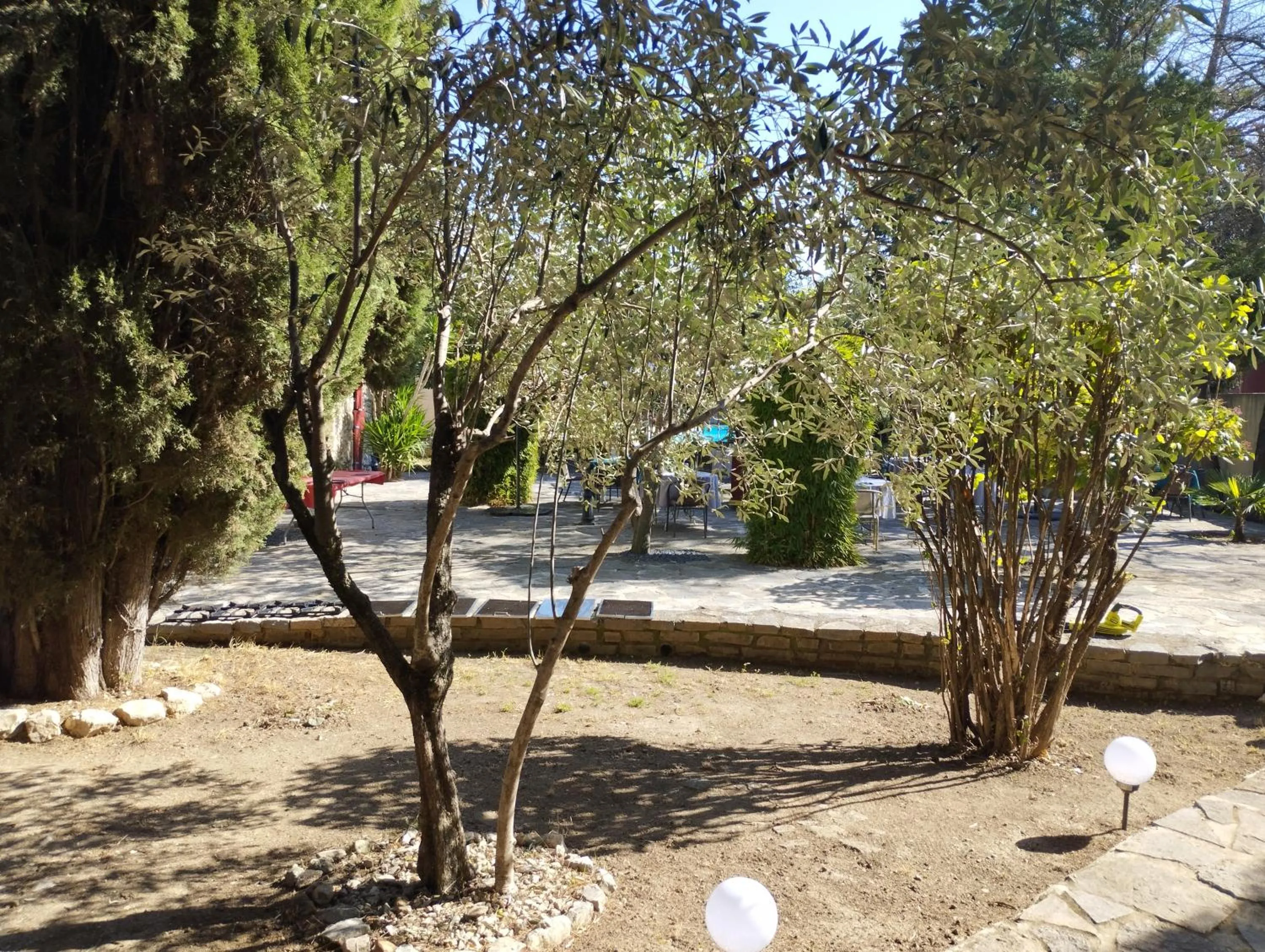 Garden in Logis Hotel Restaurant L'Esquielle
