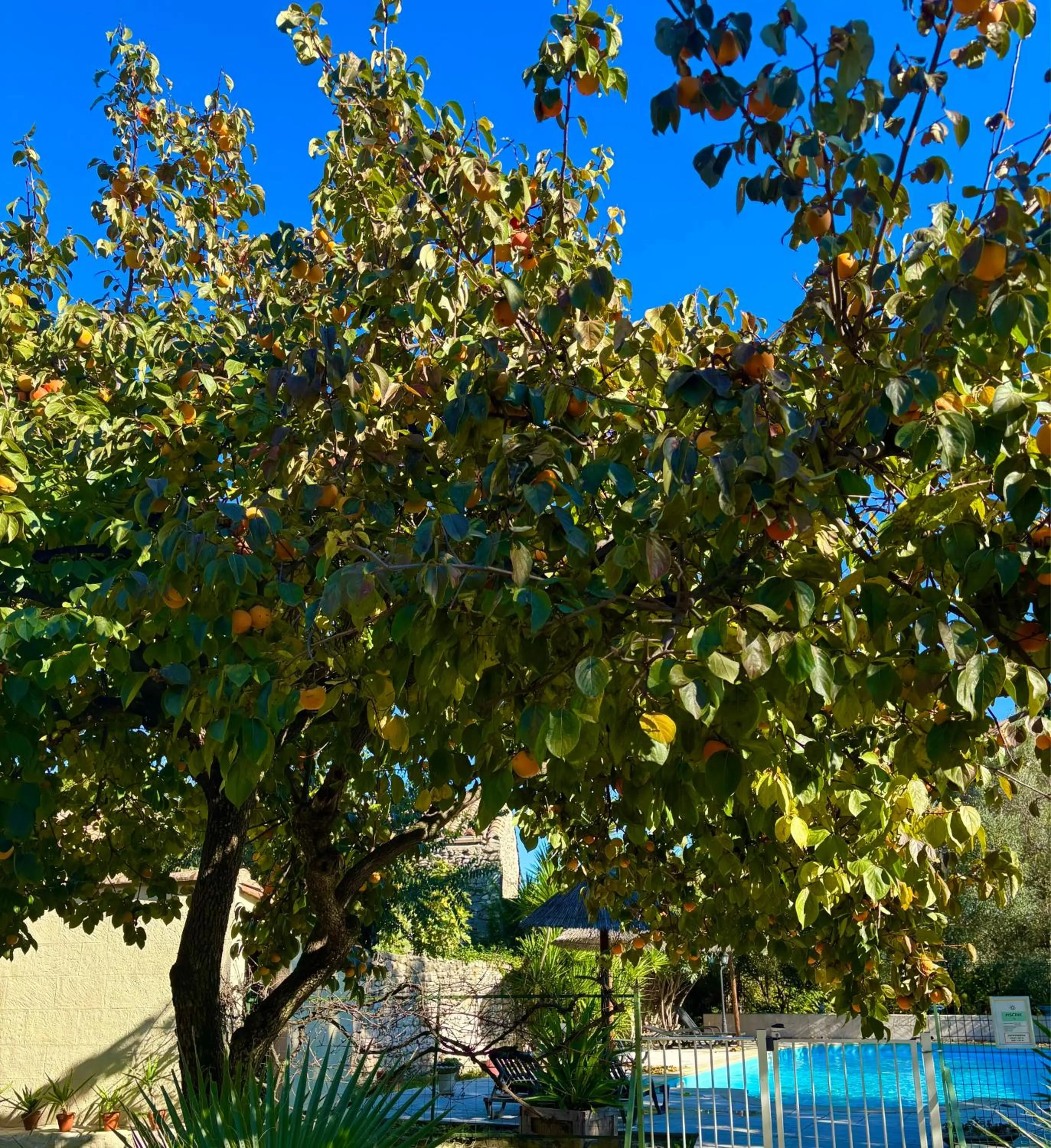 Logis Hotel Restaurant L'Esquielle