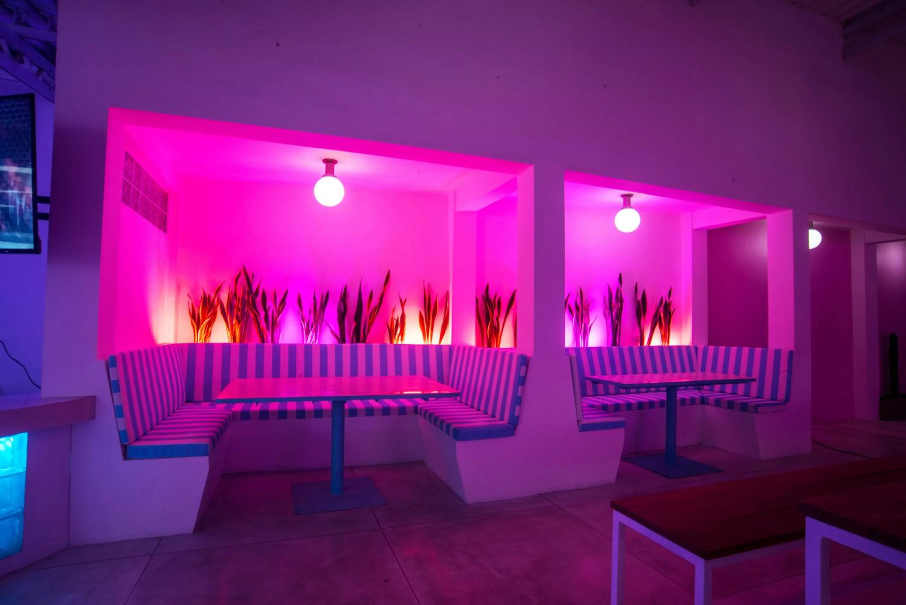 Lounge or bar in Mad Monkey Kuta Lombok