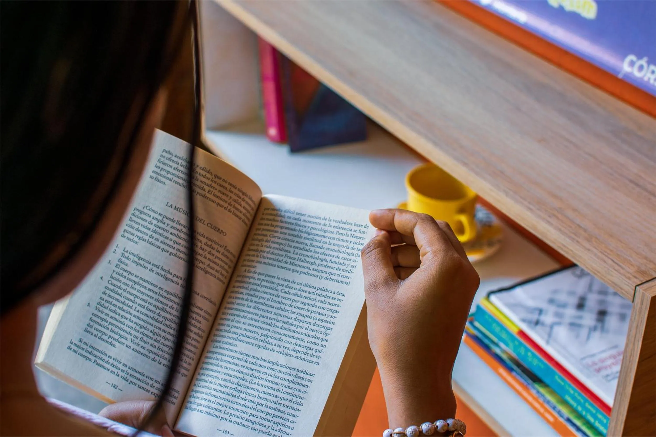 Library in Cabañas Los Venaos