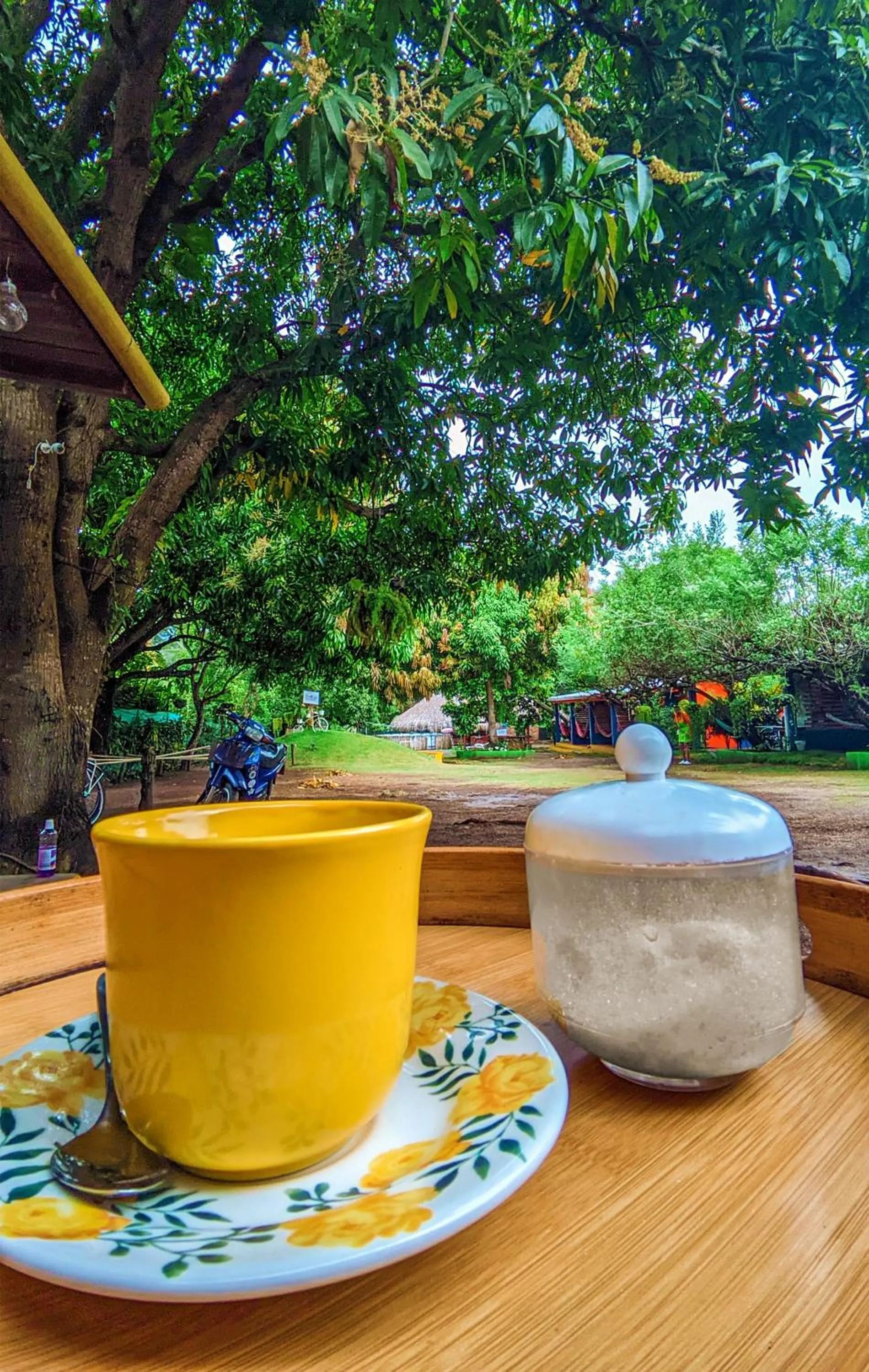 Garden view in Cabañas Los Venaos