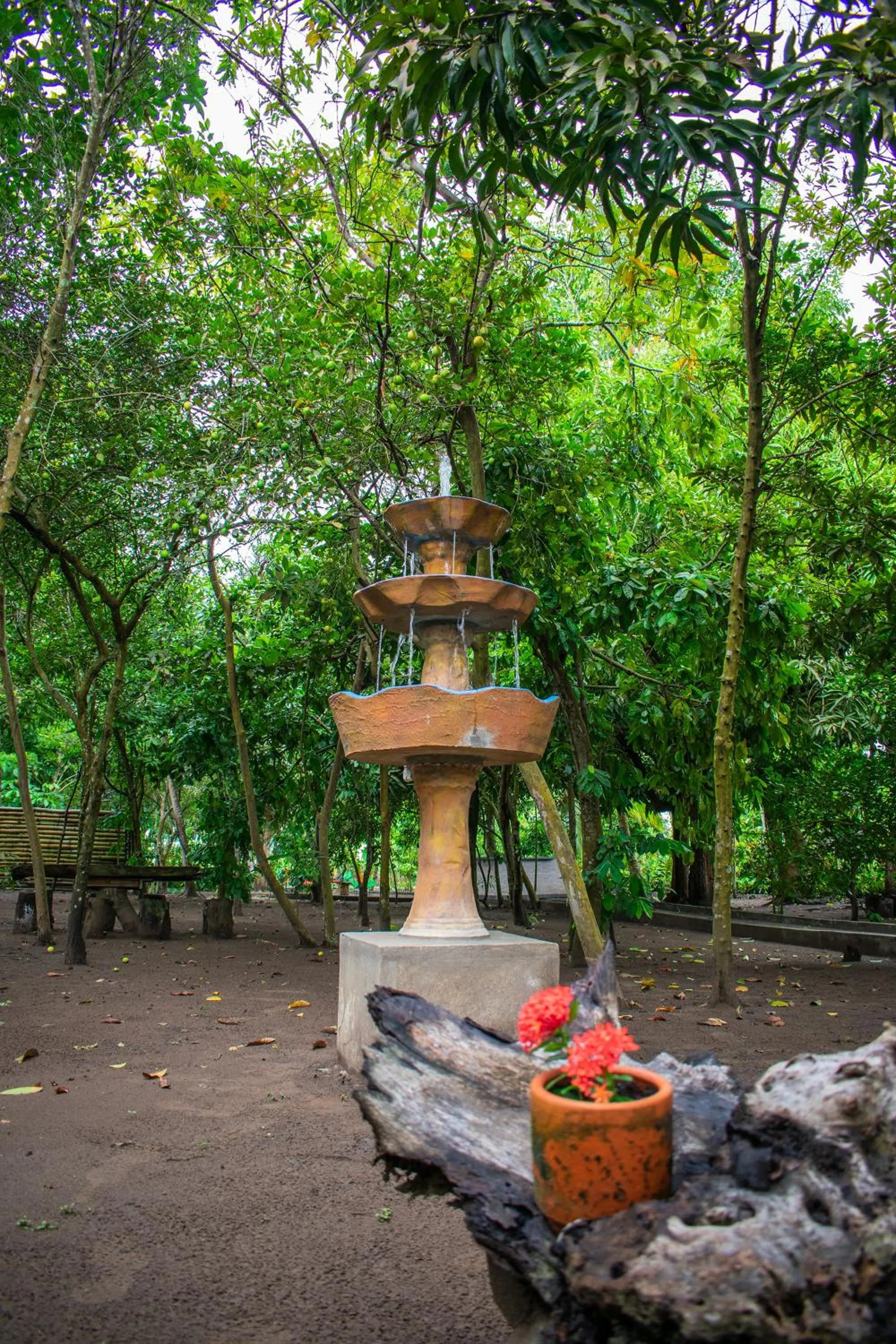 Natural landscape in Cabañas Los Venaos