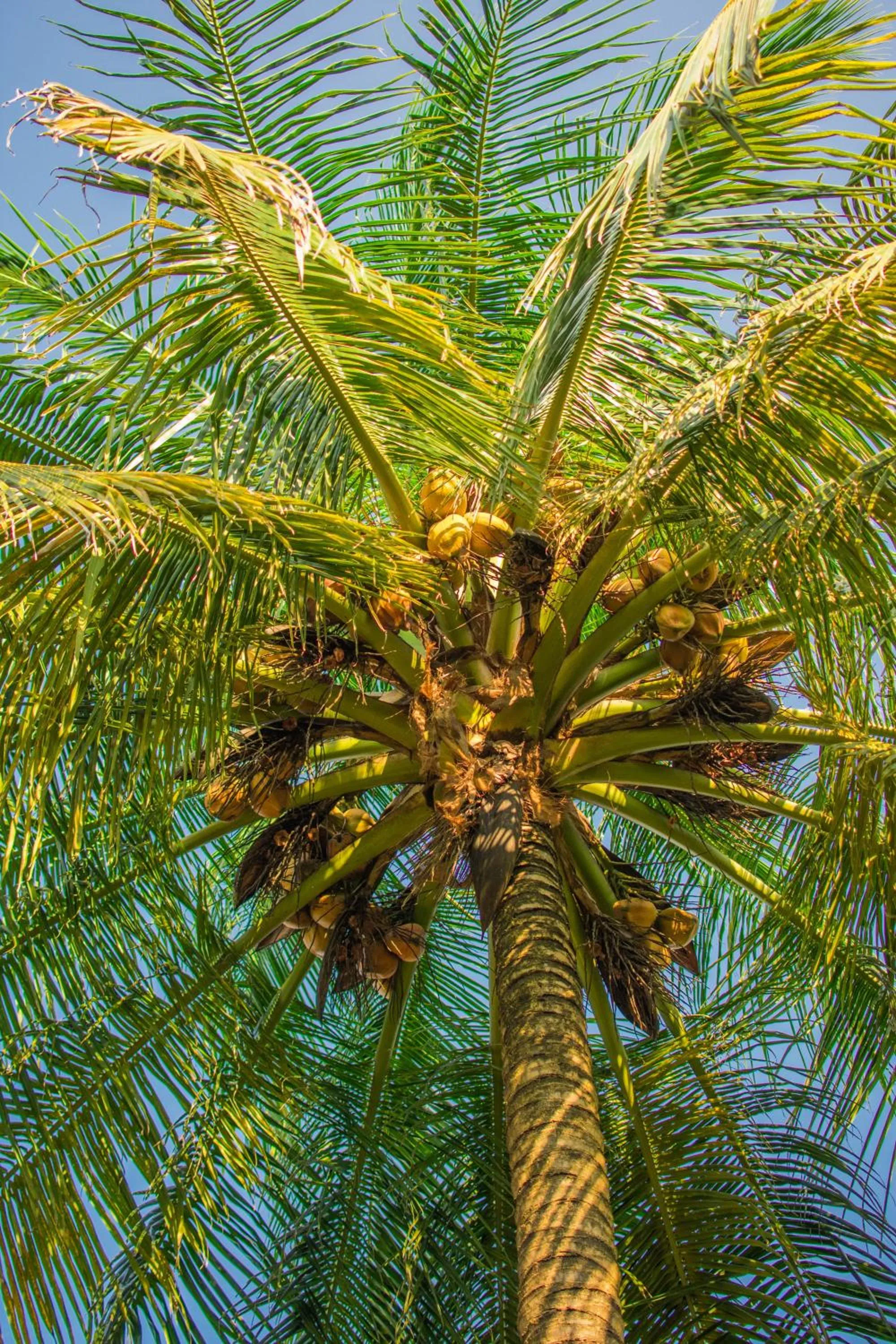 Off site in Cabañas Los Venaos