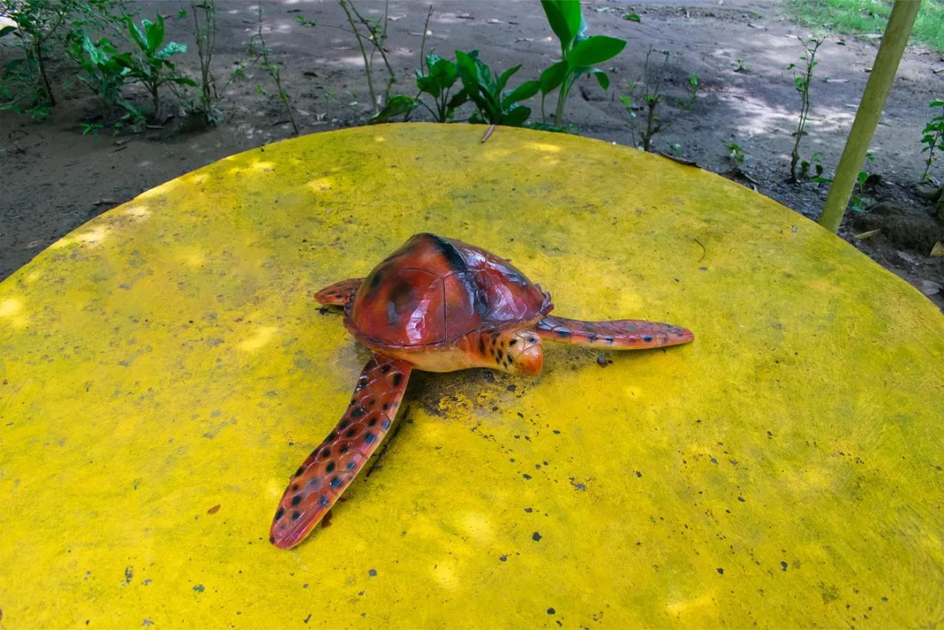 Garden in Cabañas Los Venaos