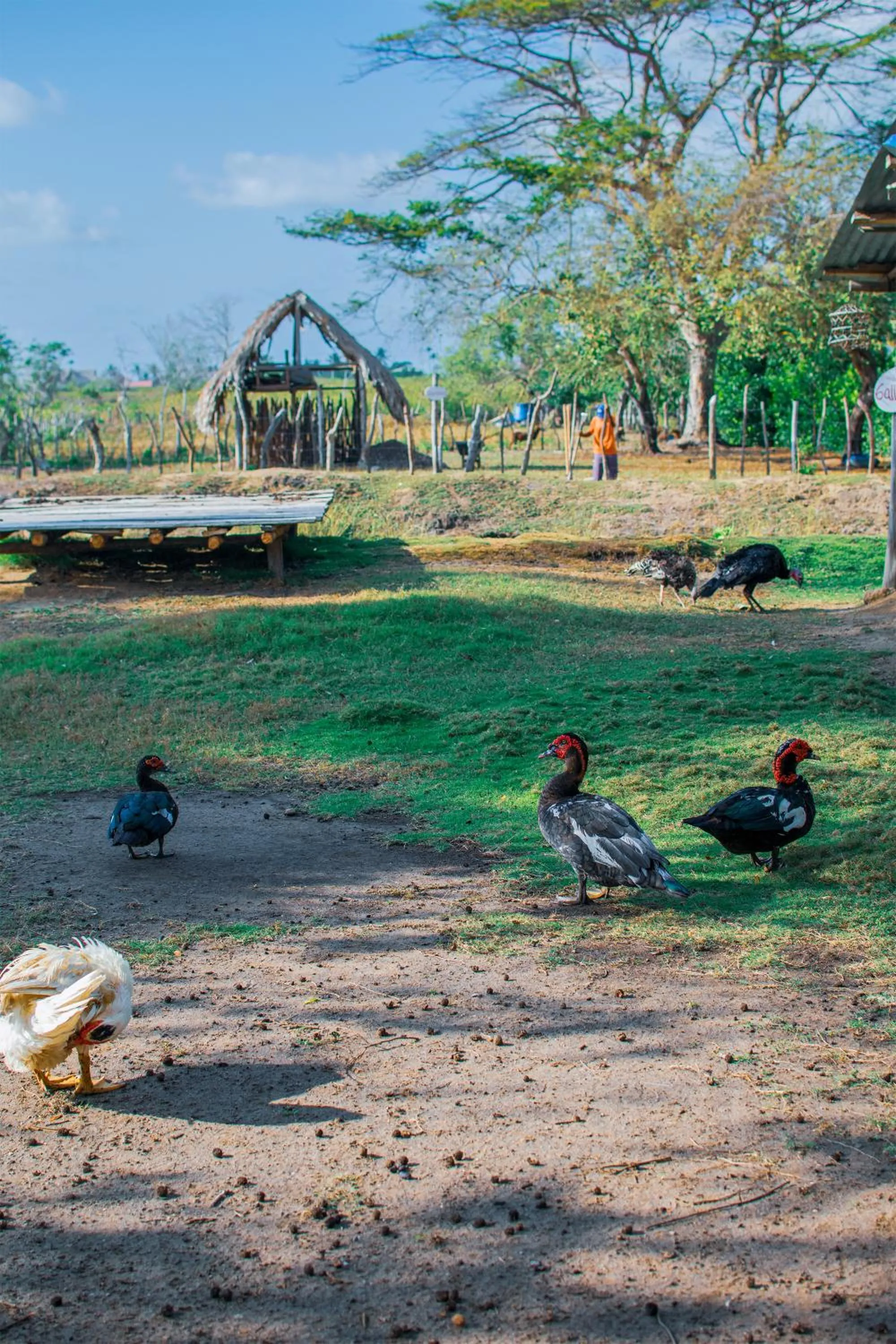 Patio in Cabañas Los Venaos