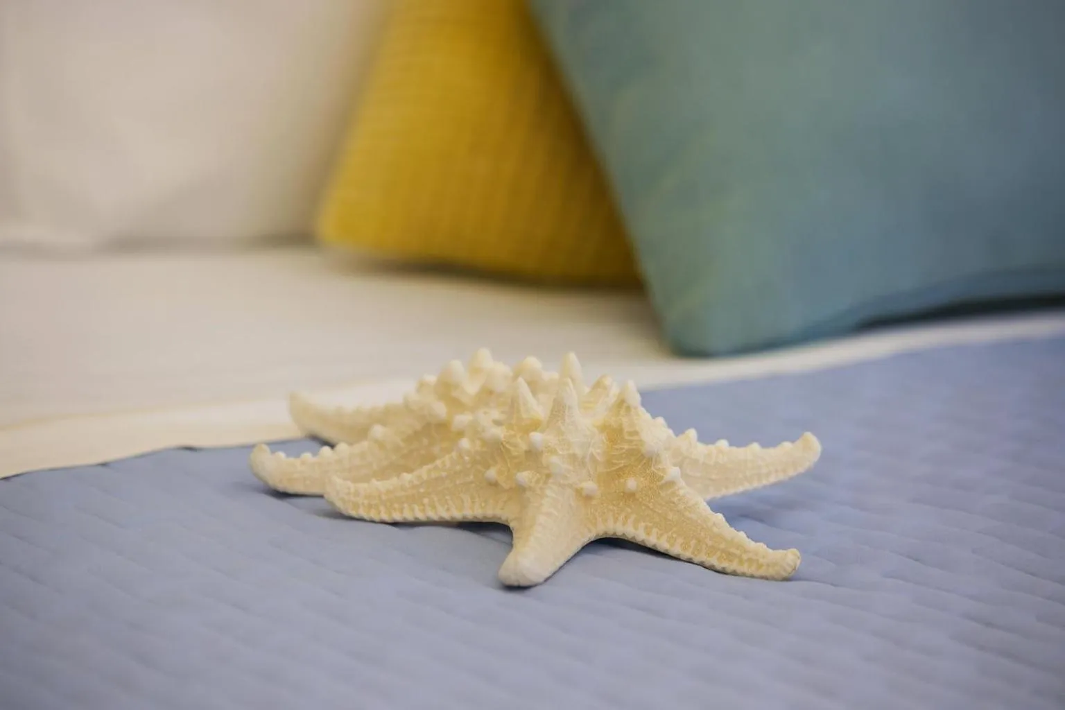 Decorative detail in ELISABETTA hotel