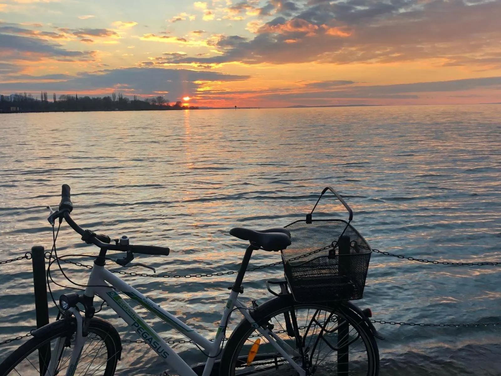 Cycling in JUFA Hotel Bregenz
