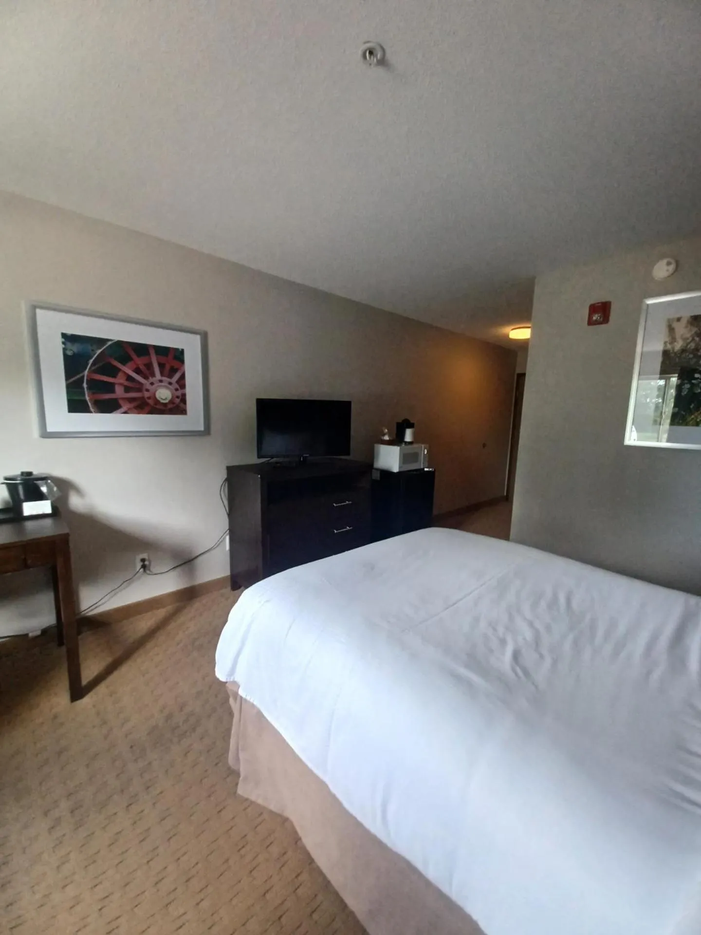 Bed in Baymont by Wyndham Freeport