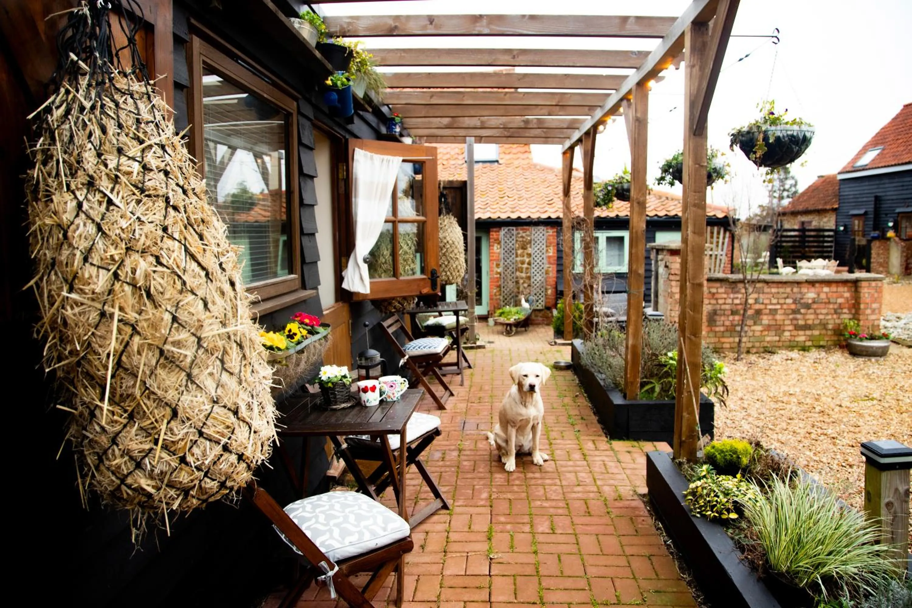 pet friendly in Norfolk Accommodation