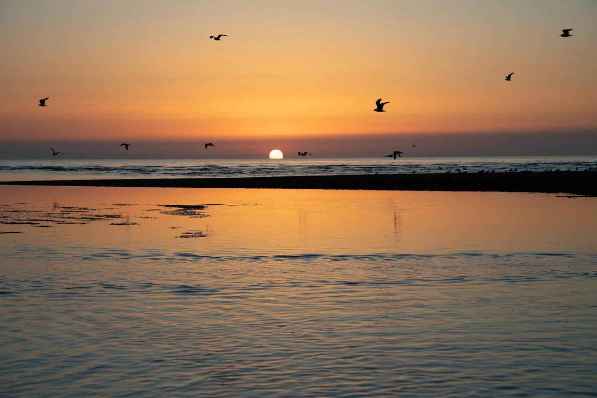 Beach in Norfolk Accommodation
