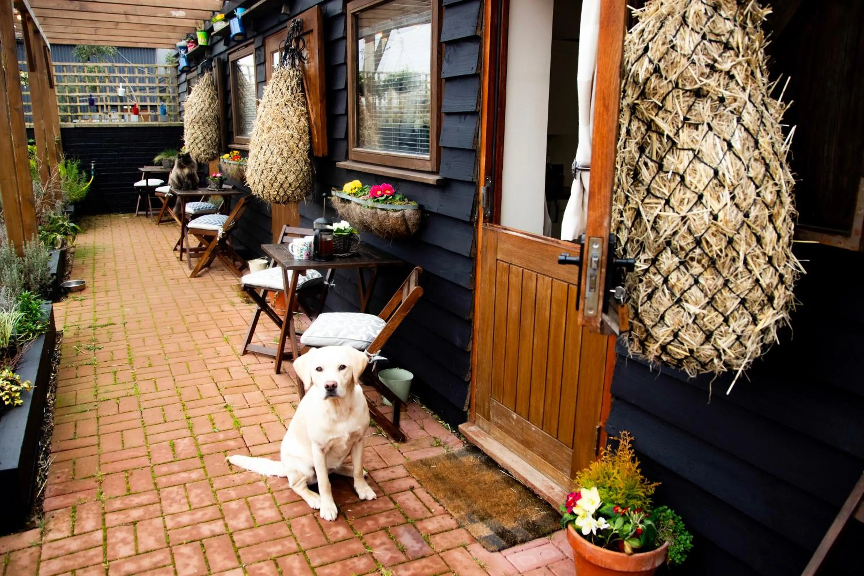 Patio in Norfolk Accommodation