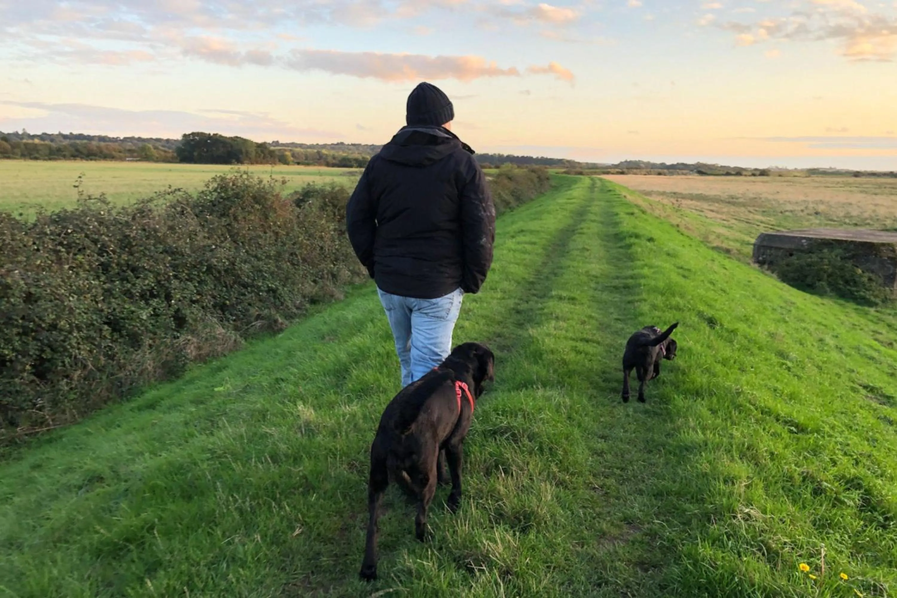 Animals in Norfolk Accommodation