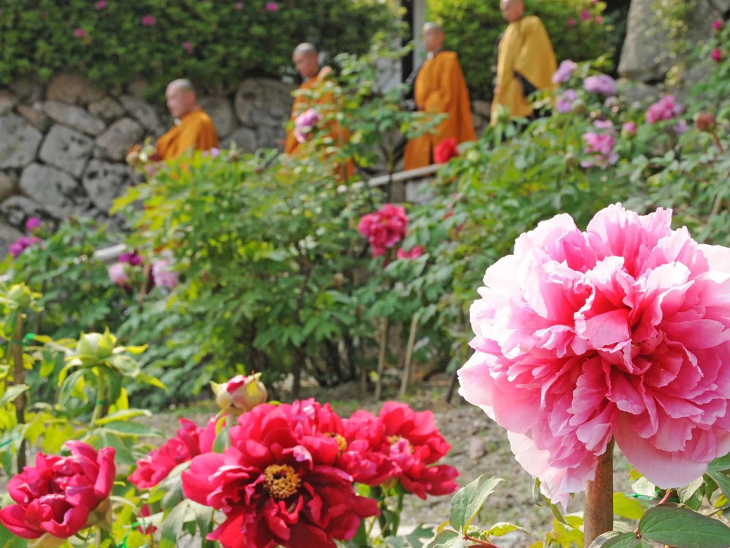 Nearby landmark in Itaniya