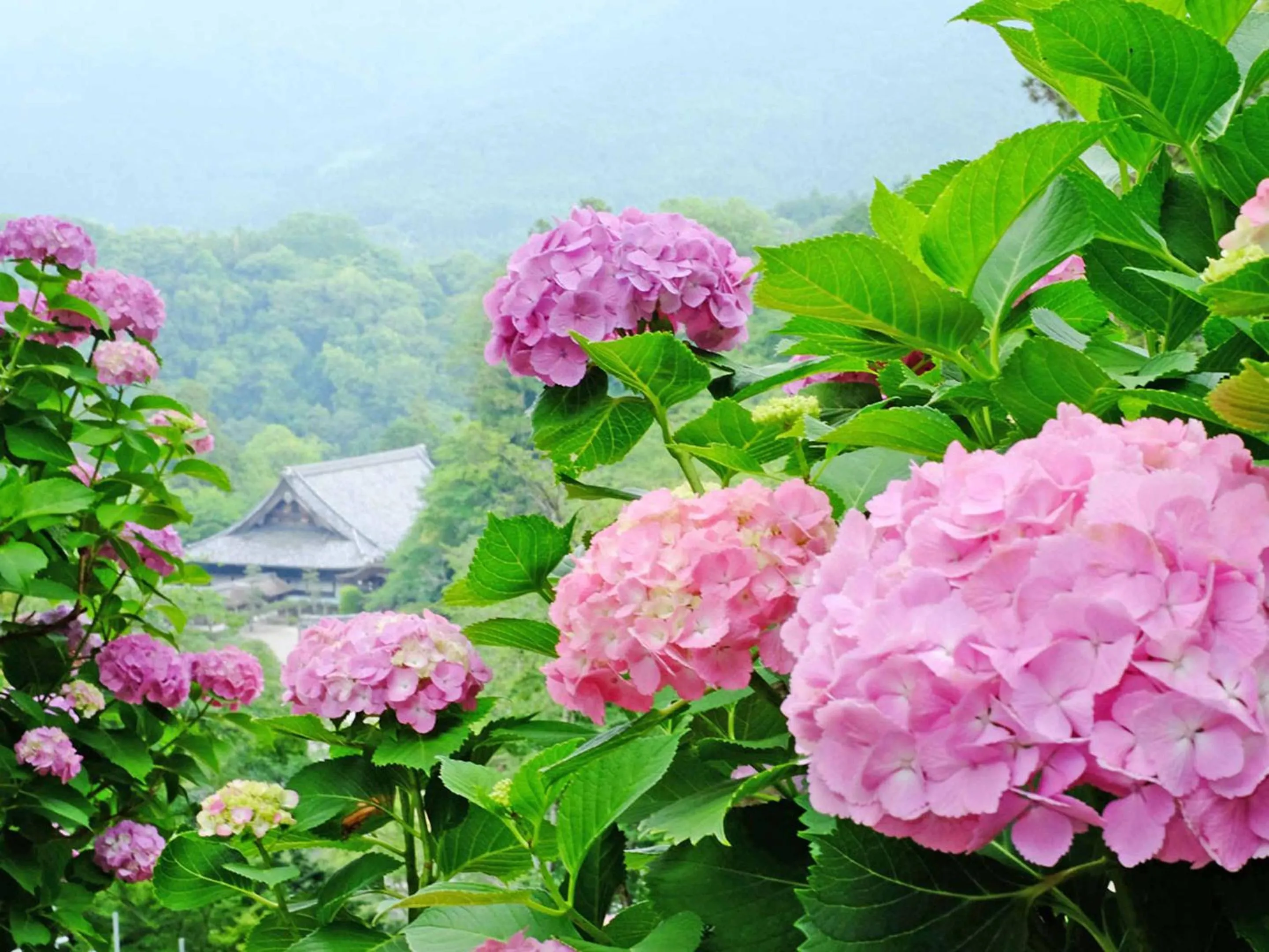 Natural landscape in Itaniya
