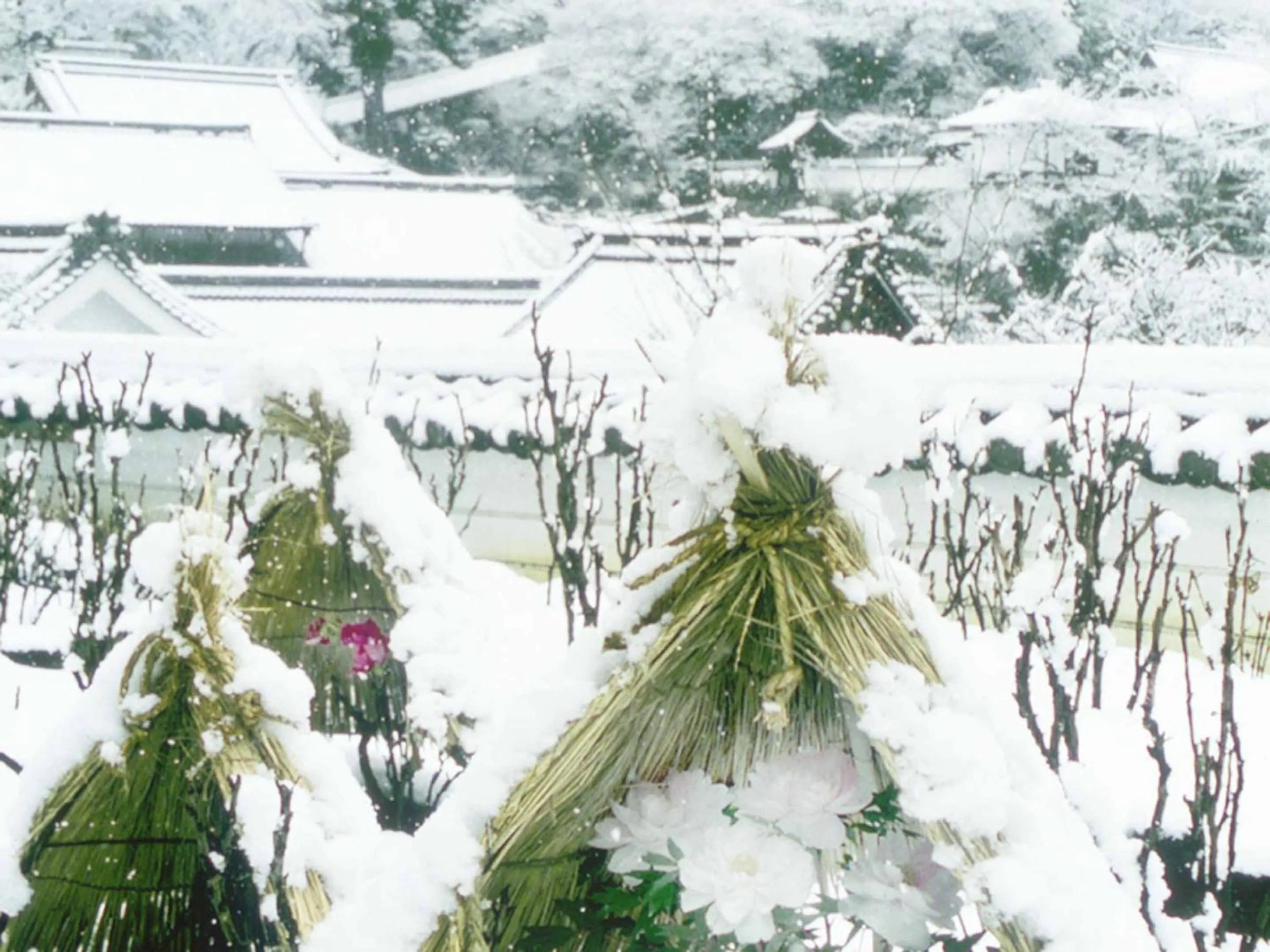 Natural landscape in Itaniya