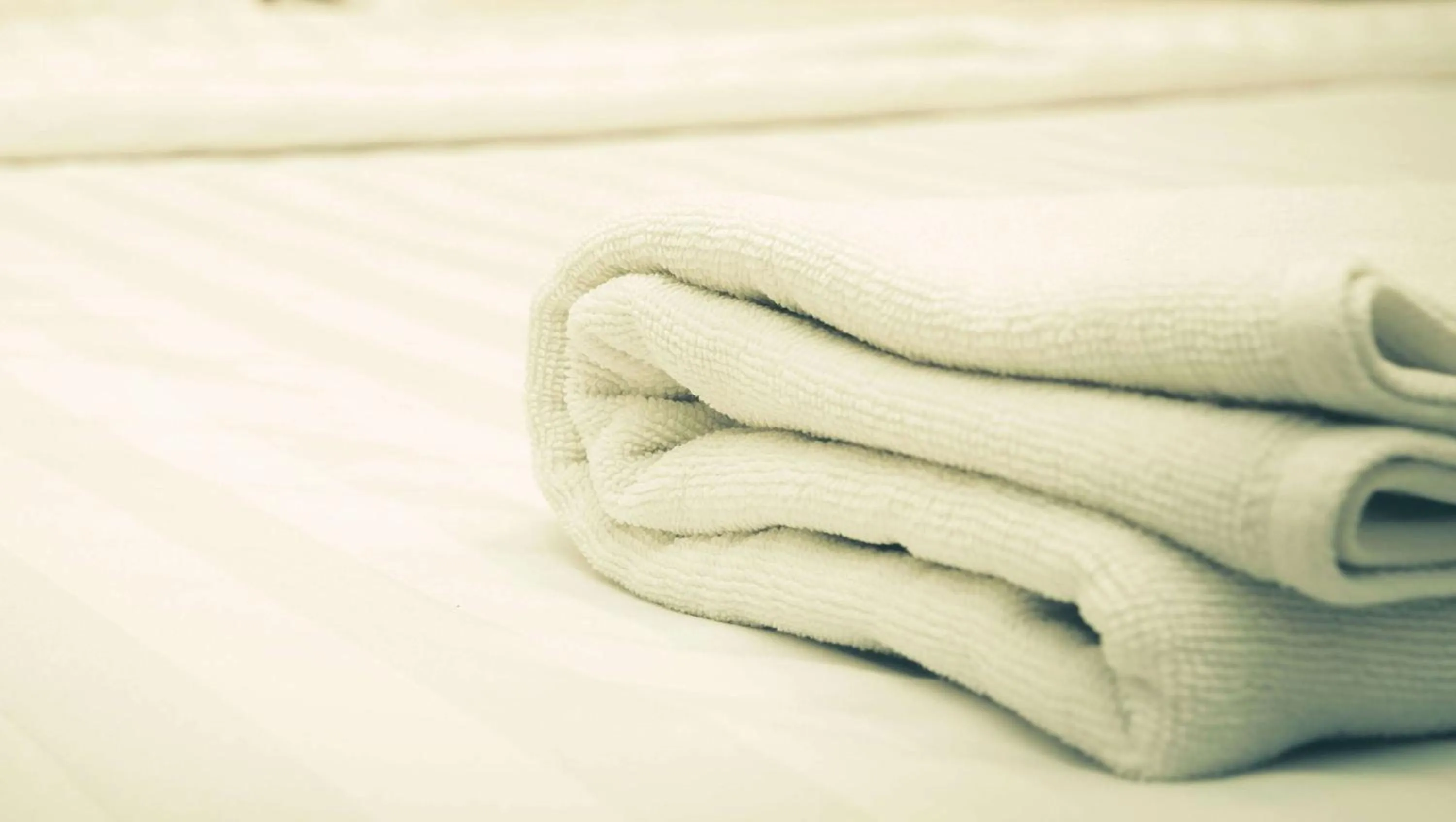 Photo of the whole room in Magnuson Hotel Brownsville