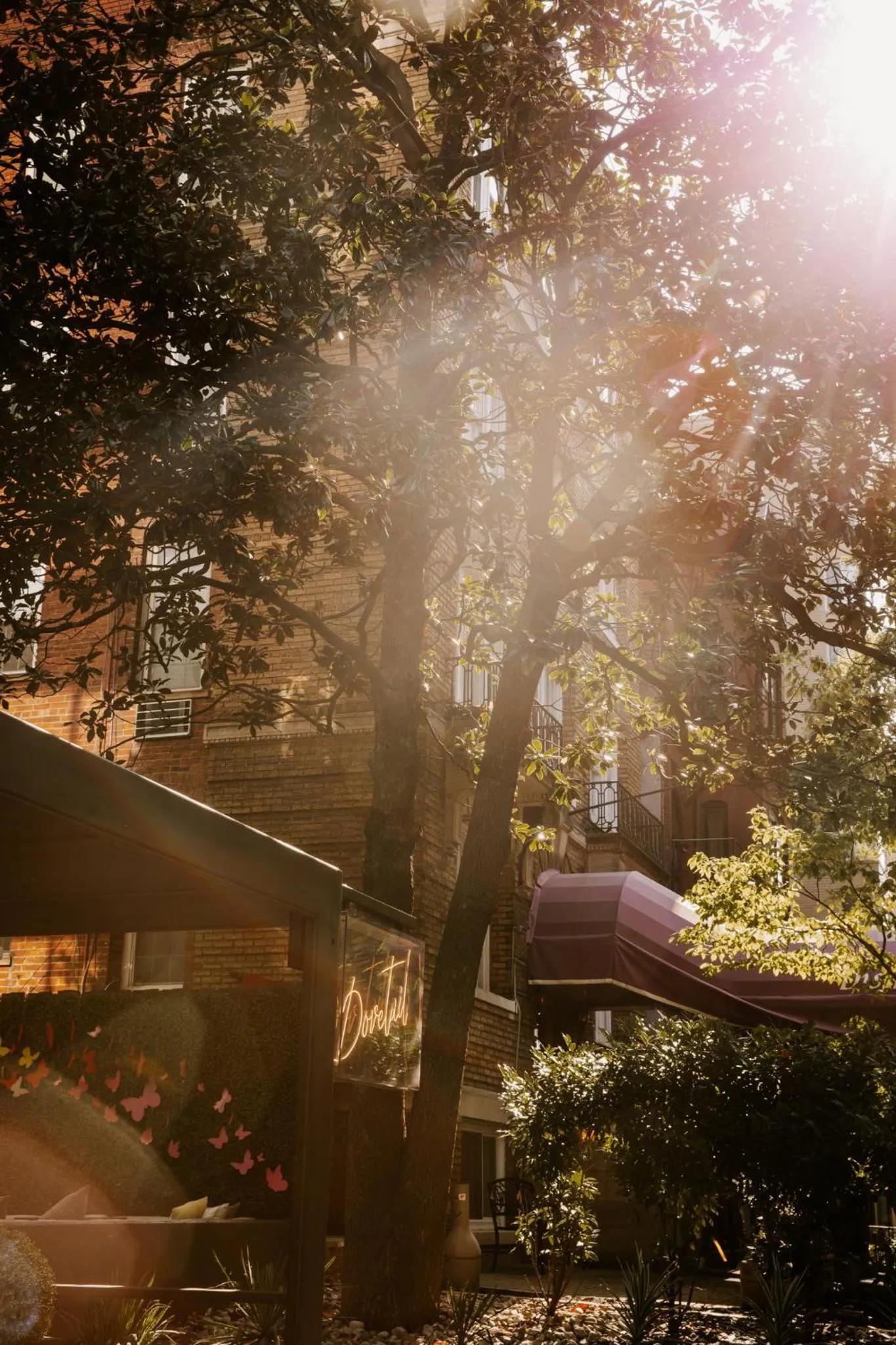 Property building in Viceroy Washington DC