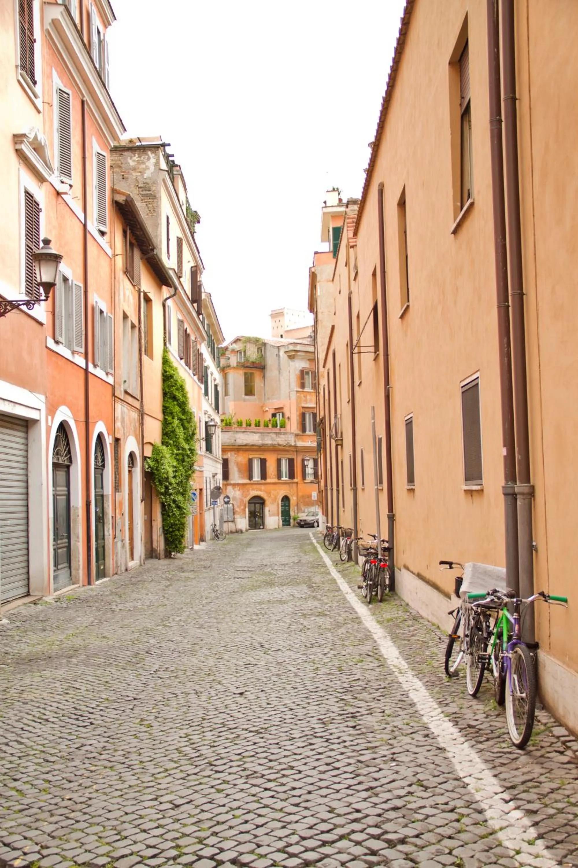 Area and facilities in Elegant Apartment Behind the Colosseum