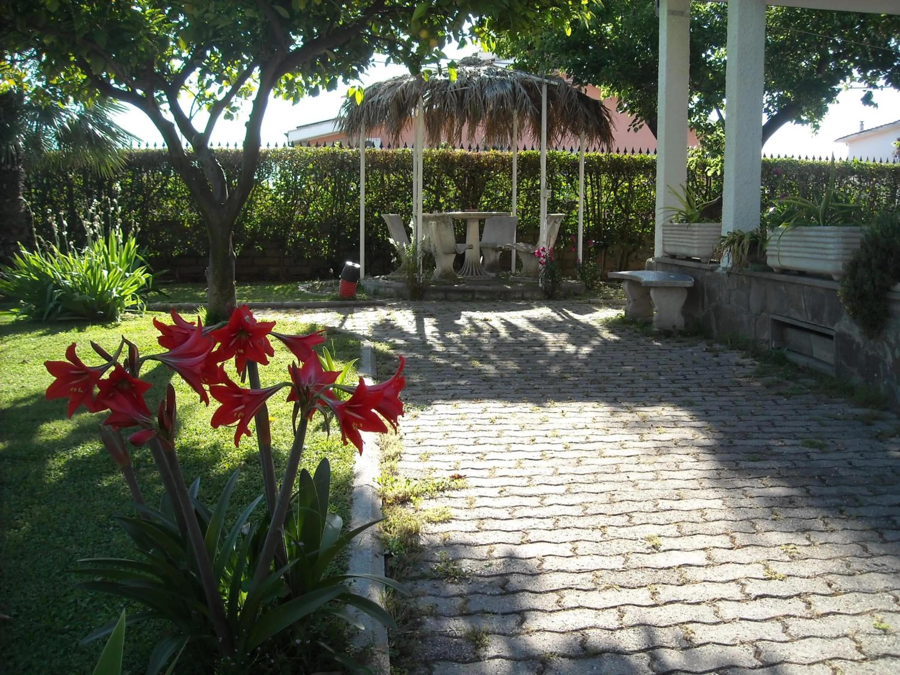 Garden in Giardino Degli Aranci B&B