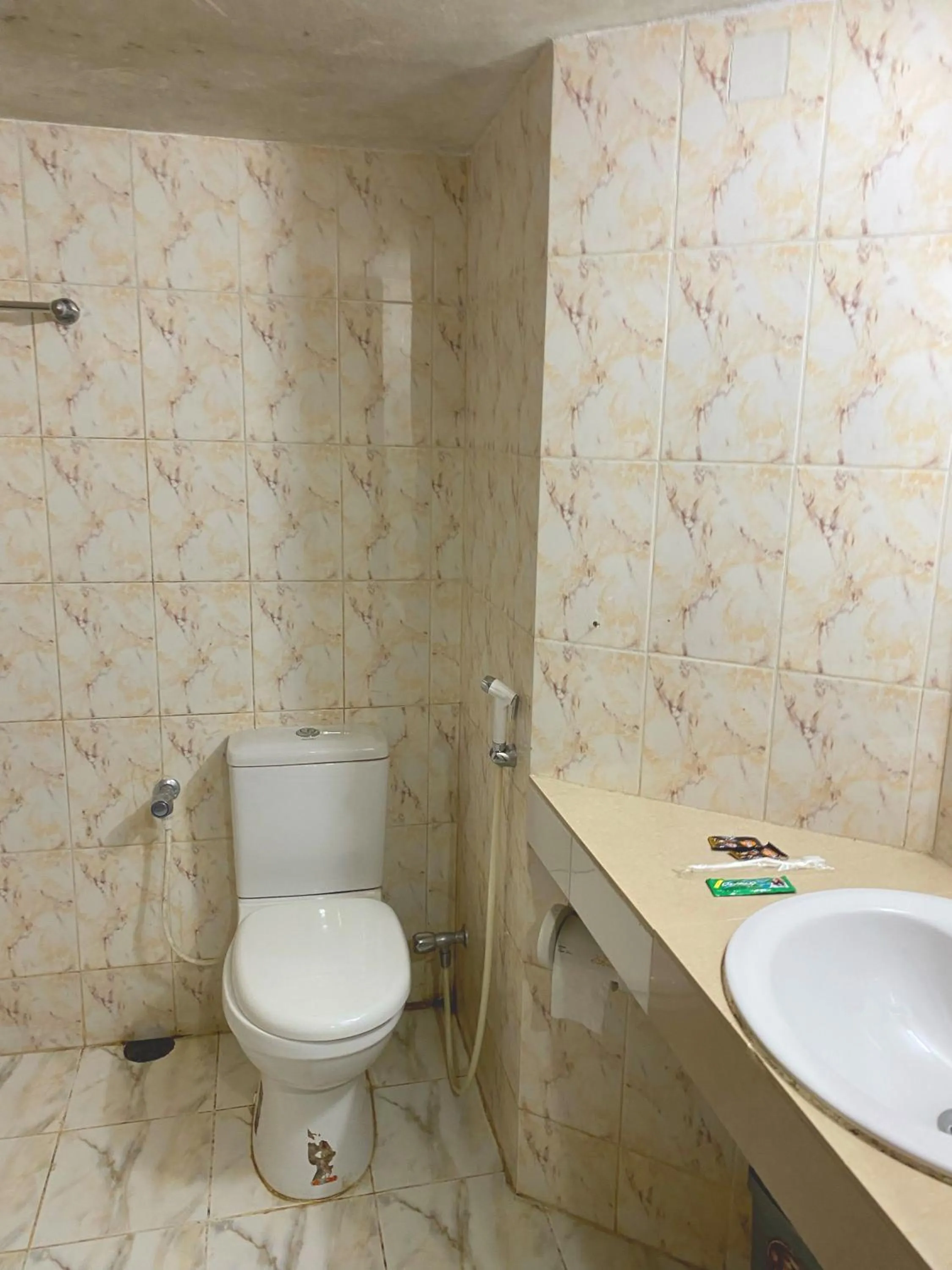 Toilet in Hotel River View