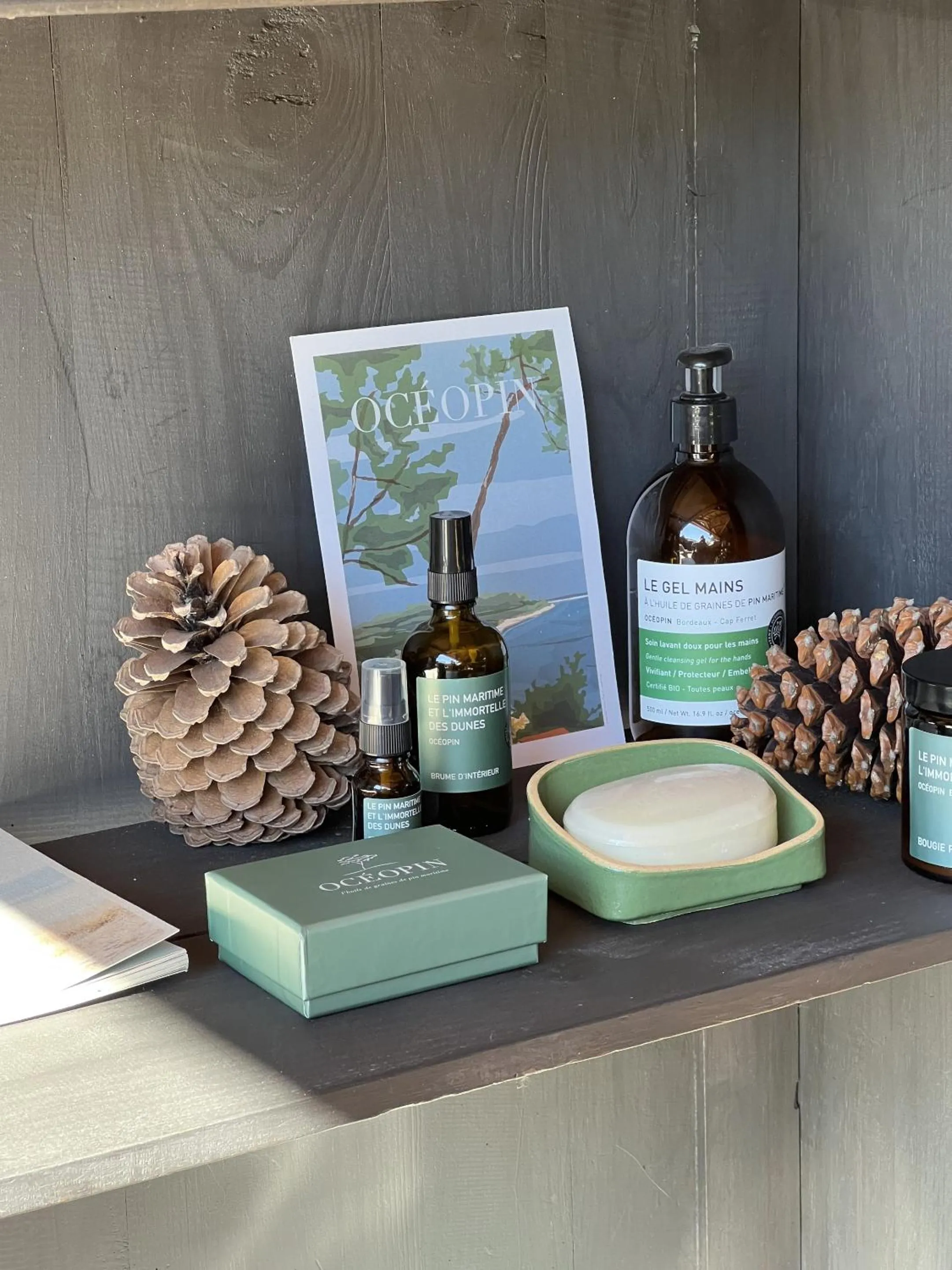 Activities in VillaCanau