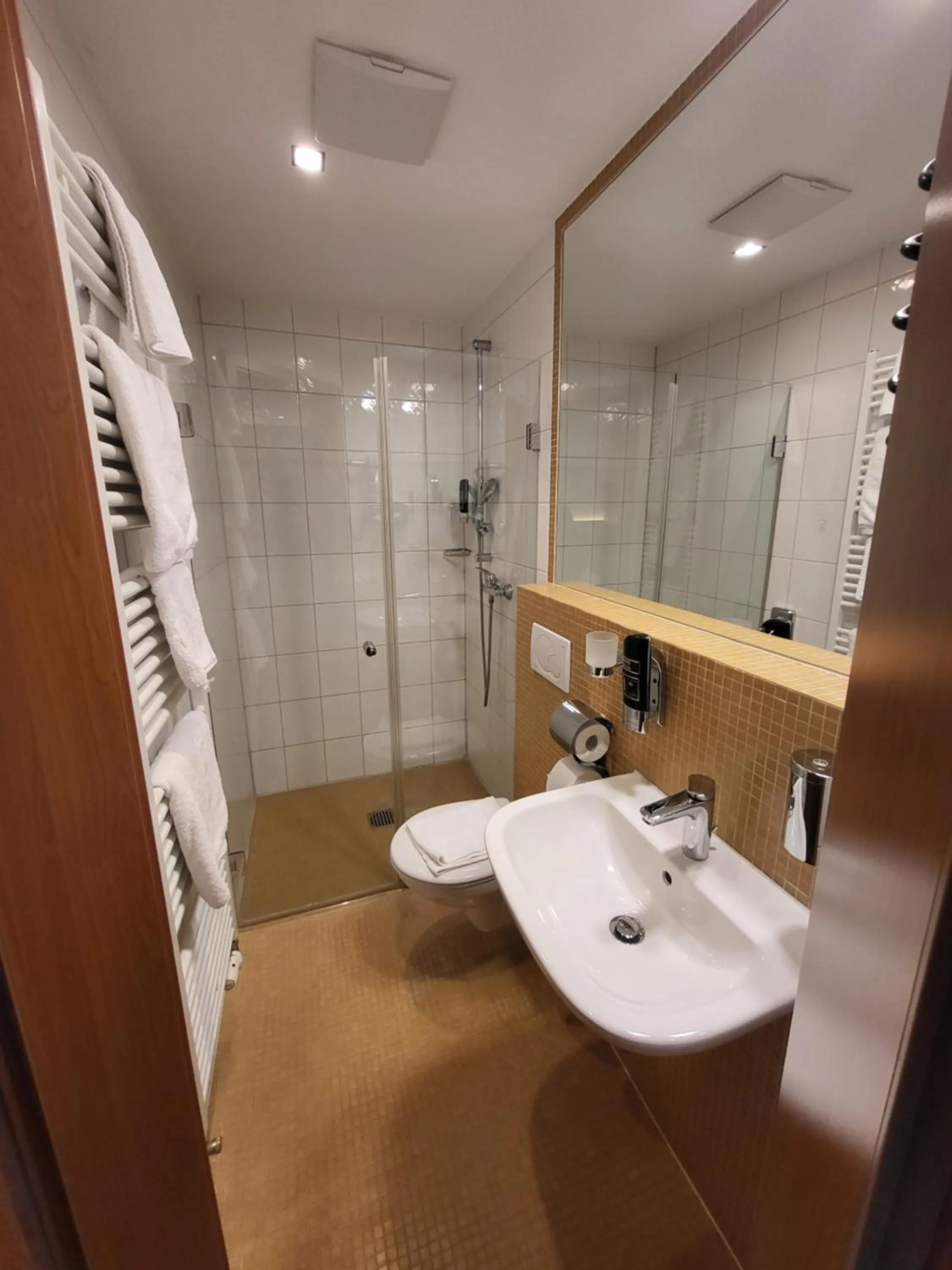 Bathroom in Hotel Lindleinsmühle